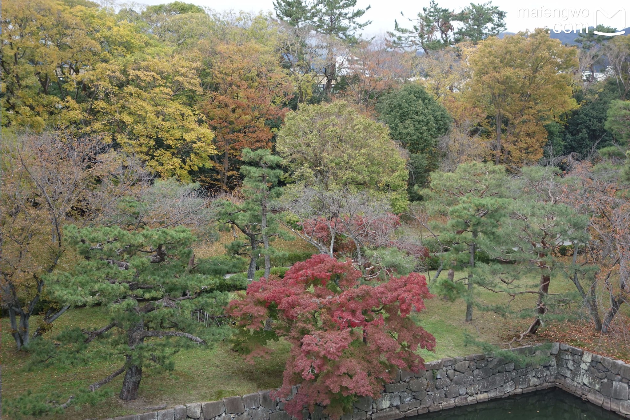 日本自助遊攻略