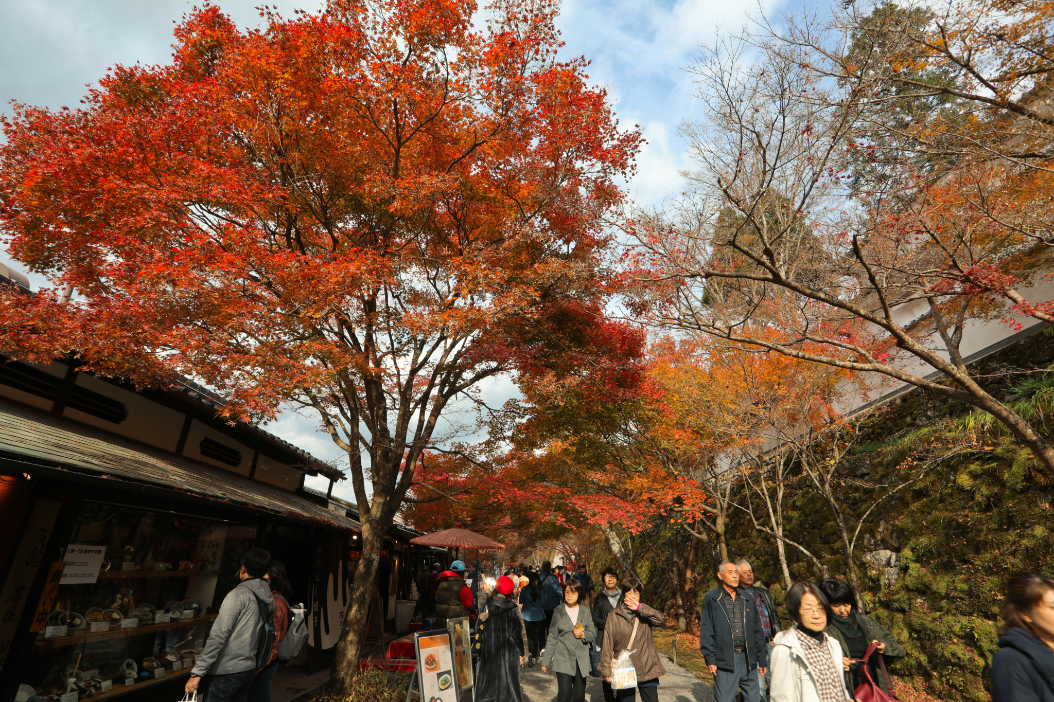 京都自助遊攻略