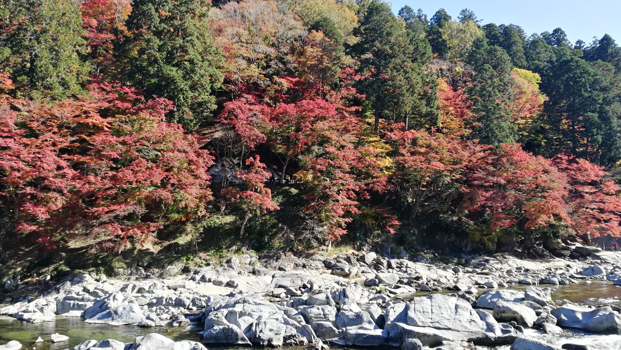 名古屋自助遊攻略