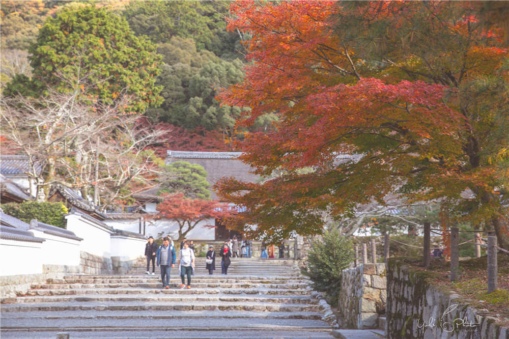 京都自助遊攻略