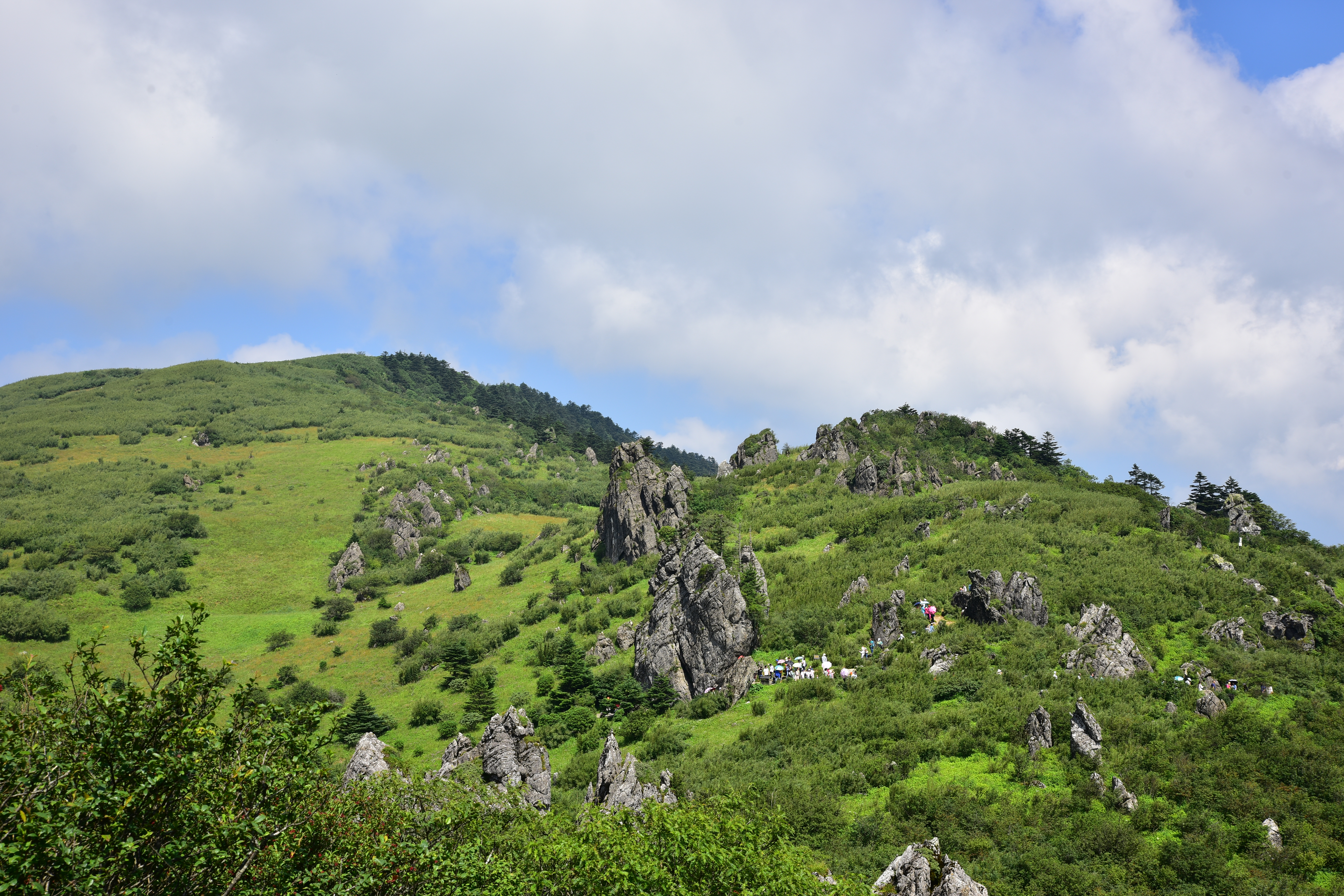 这里是华中最高峰神农顶海拔3106.
