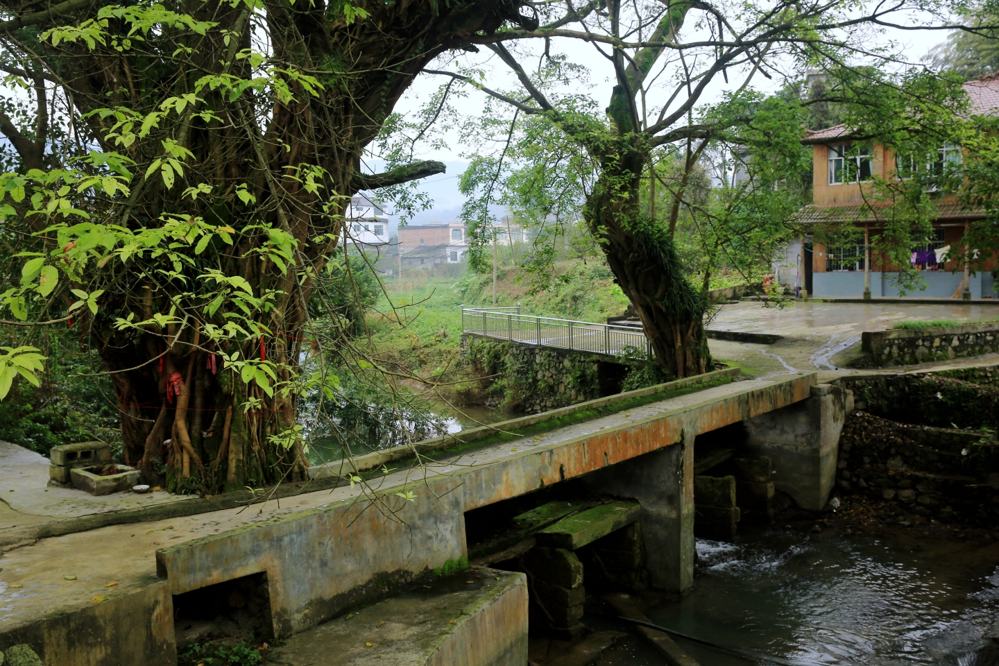 筠連大石橋,筠連旅遊攻略 - 馬蜂窩