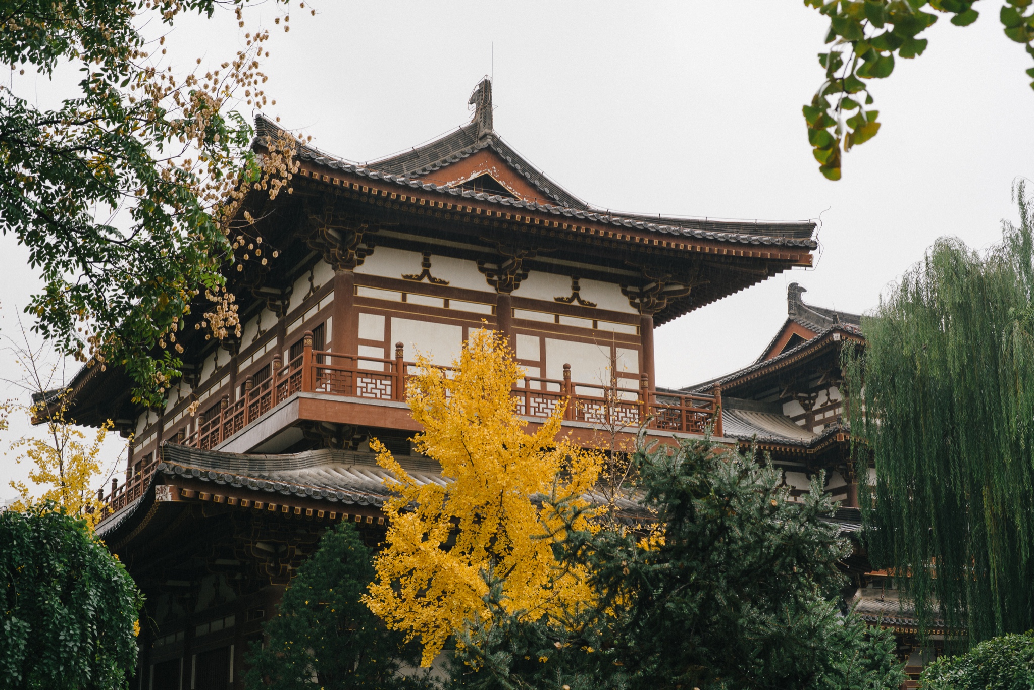 西安浮生三日长安城里寻古风