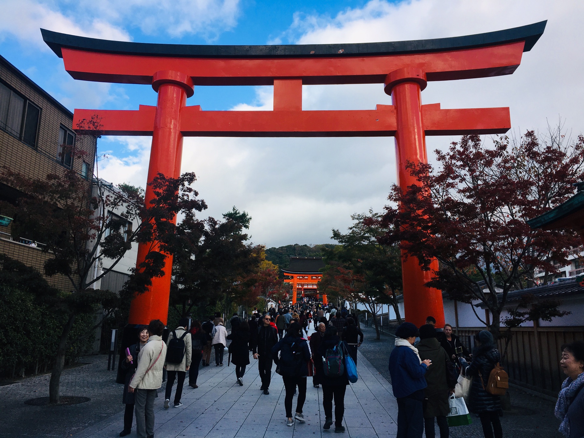 京都自助遊攻略