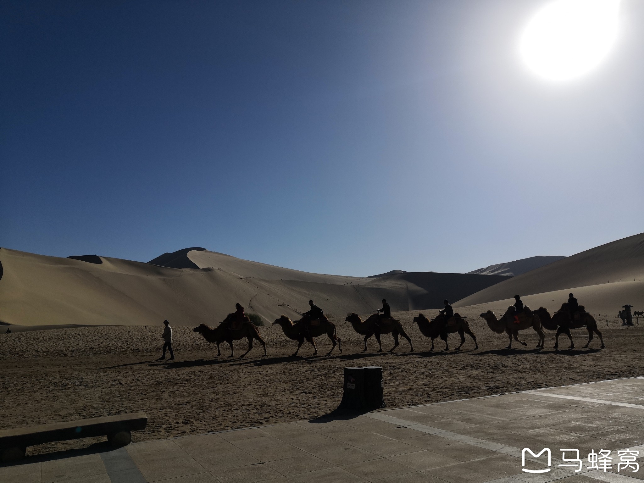 沙漠旅游适合怎么穿搭_沙漠骆驼图片(3)