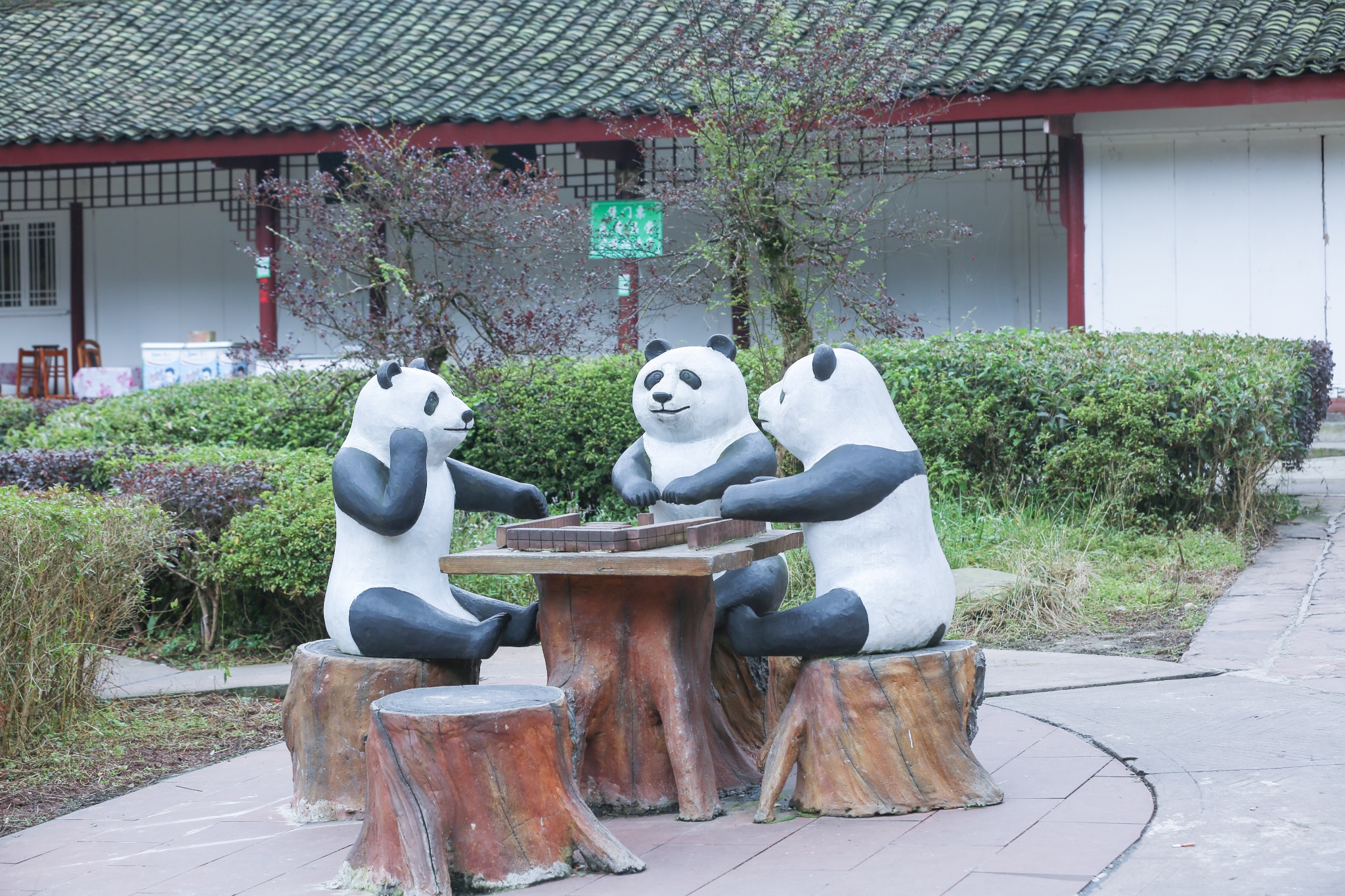 YaAn BiFengXia Panda Base
