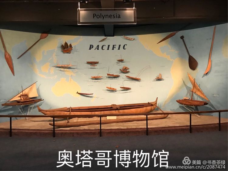 但尼丁自助遊攻略
