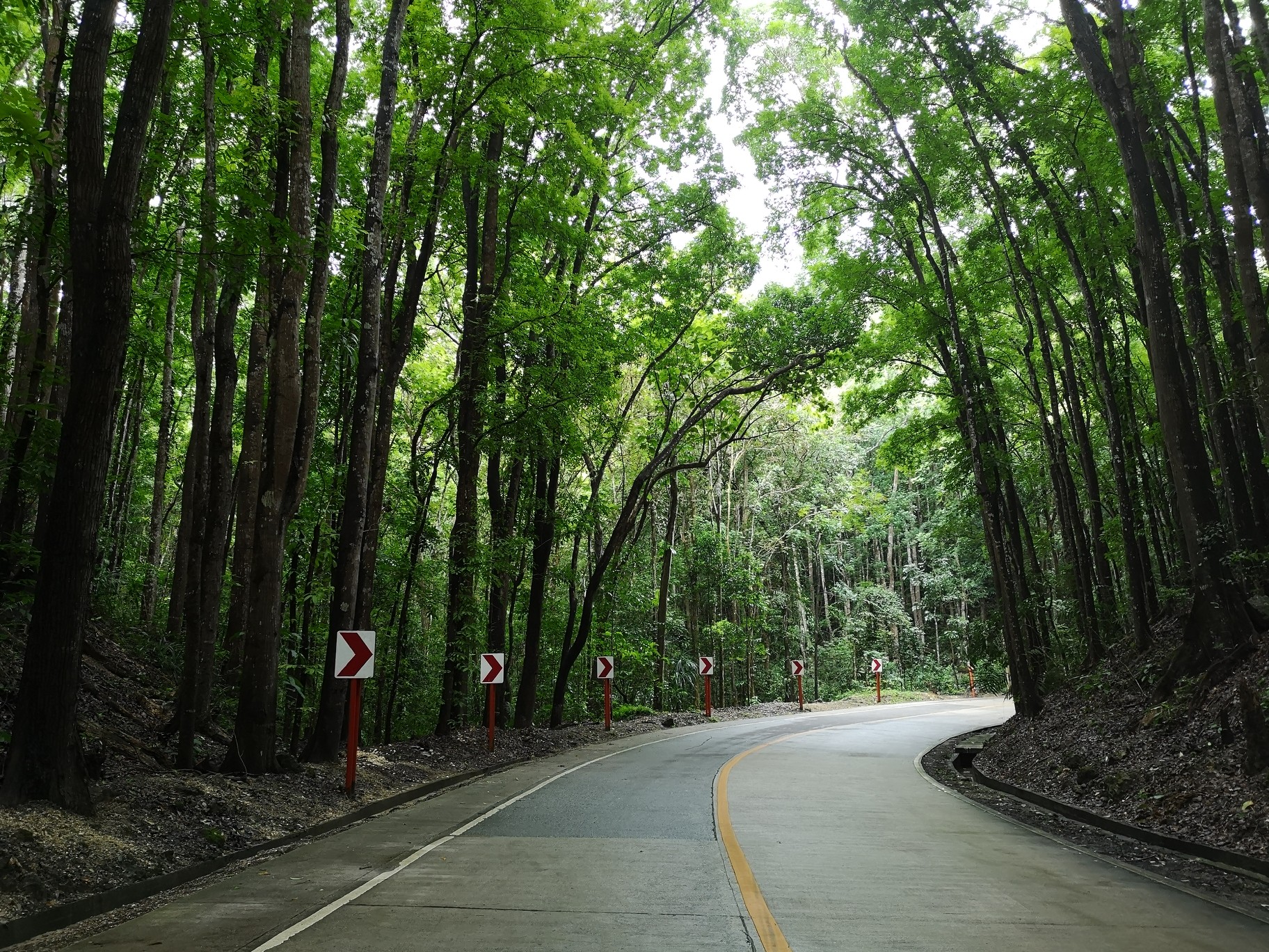 薄荷島自助遊攻略