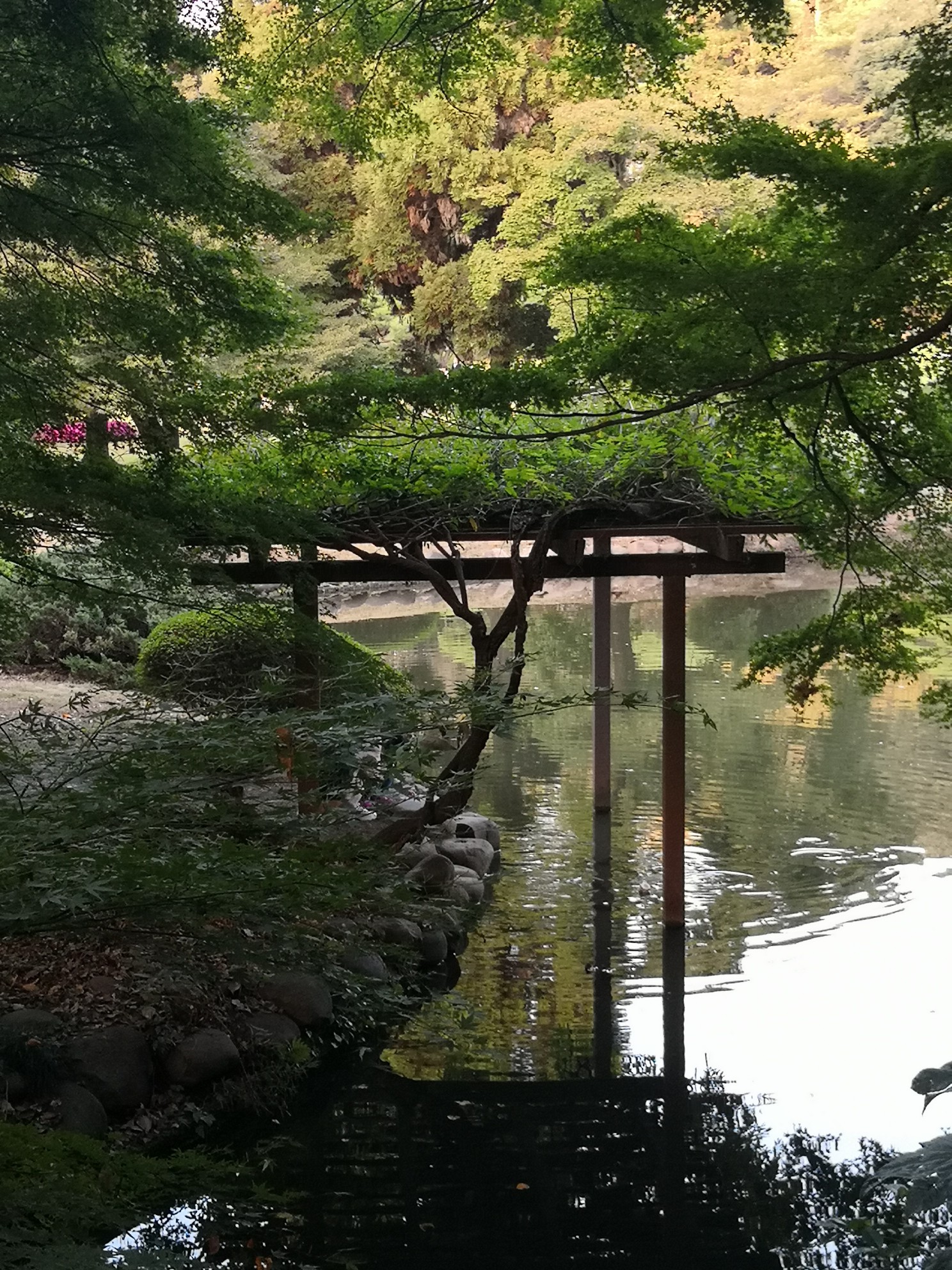 東京自助遊攻略