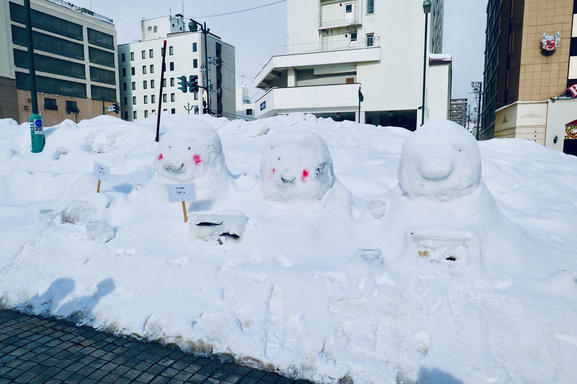 北海道自助遊攻略