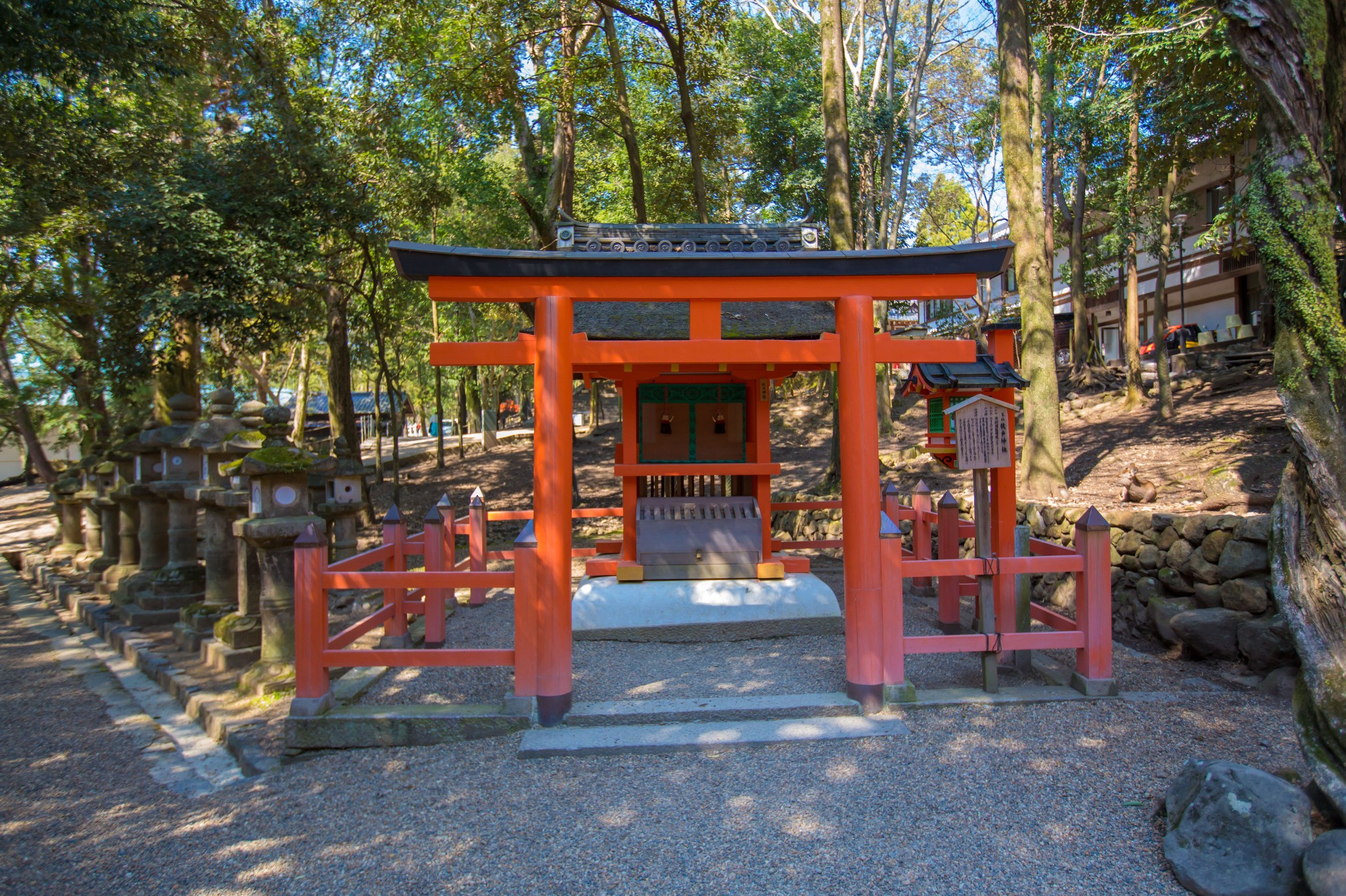 富士山自助遊攻略