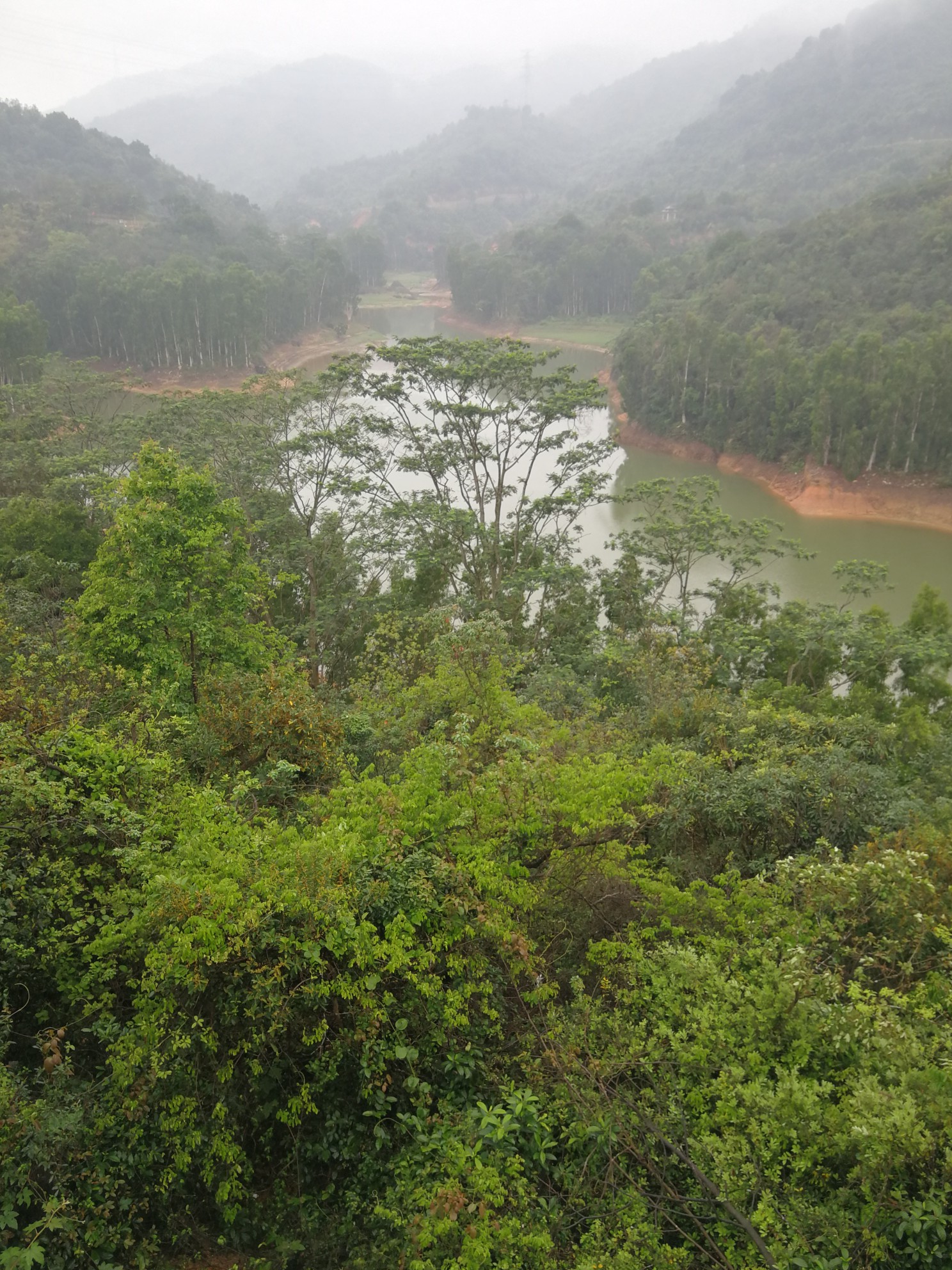 深圳自助遊攻略