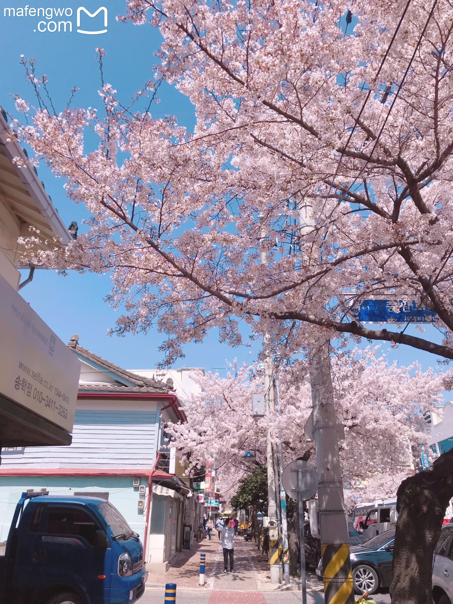 釜山自助遊攻略