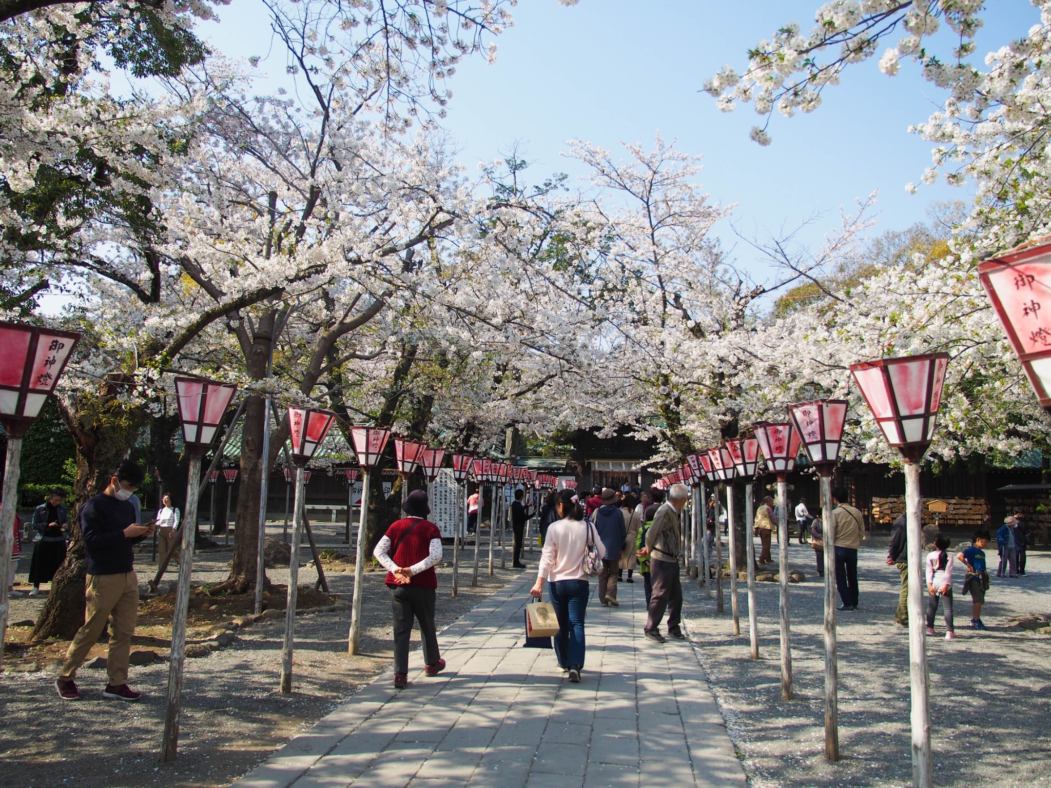 京都自助遊攻略