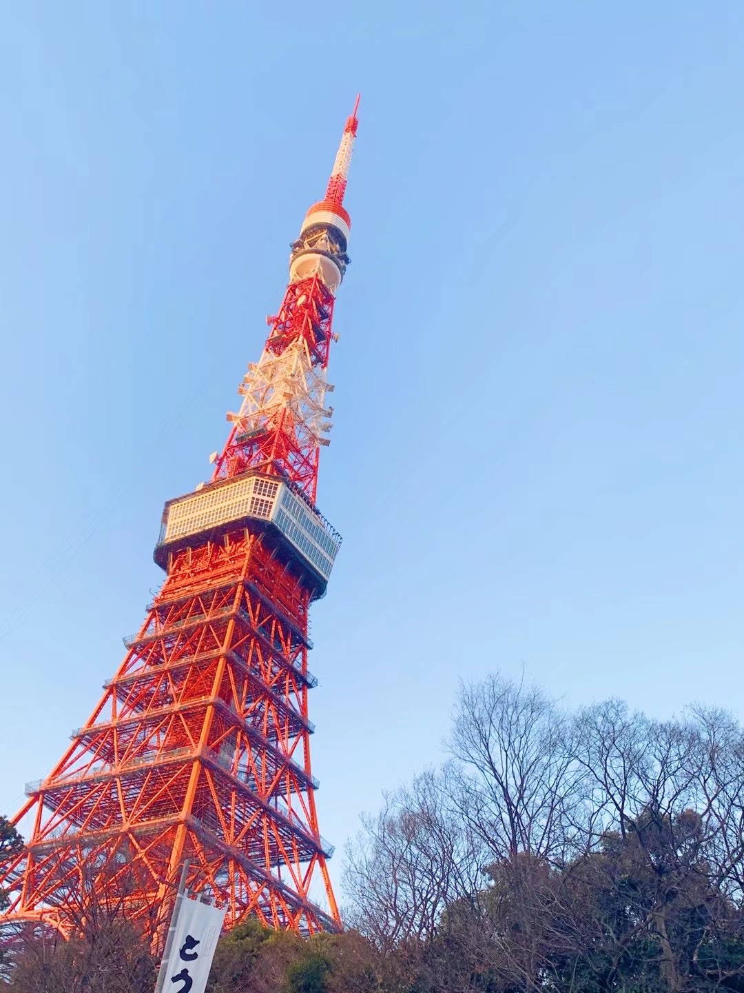 東京自助遊攻略