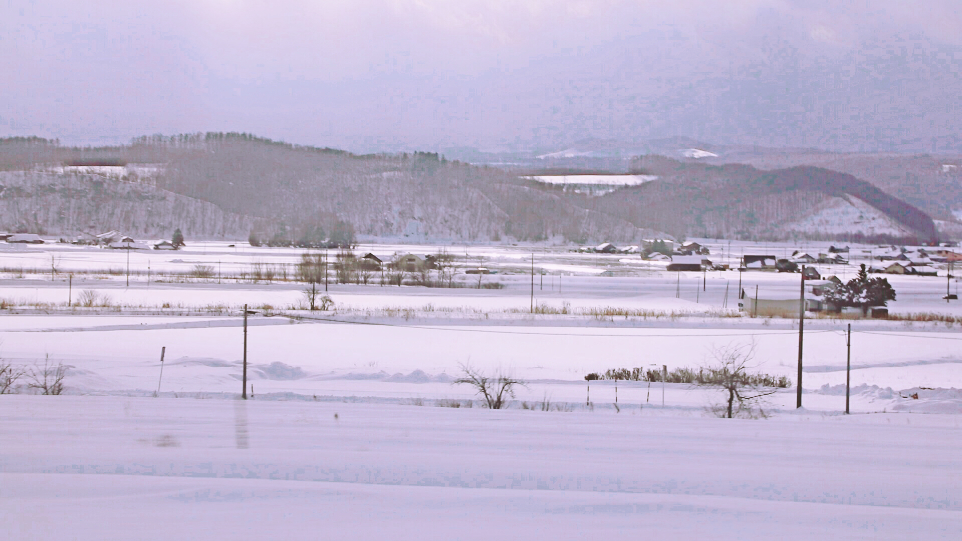 北海道自助遊攻略