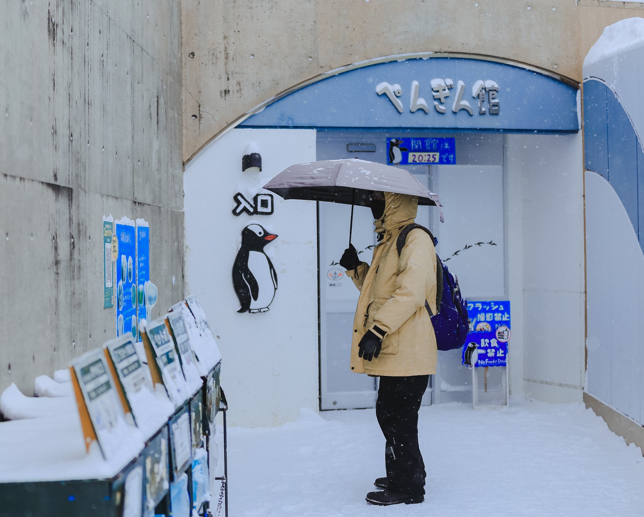 北海道自助遊攻略