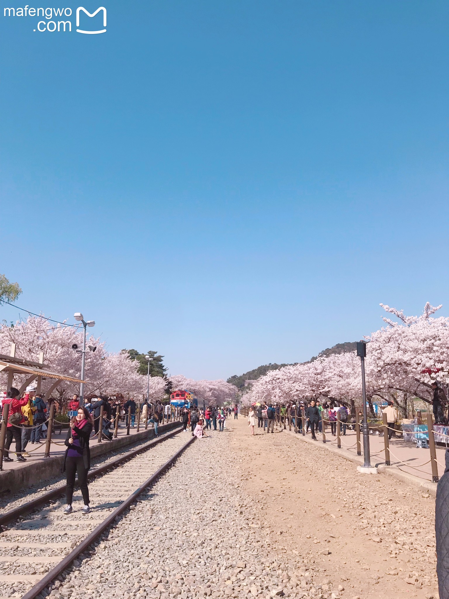 釜山自助遊攻略