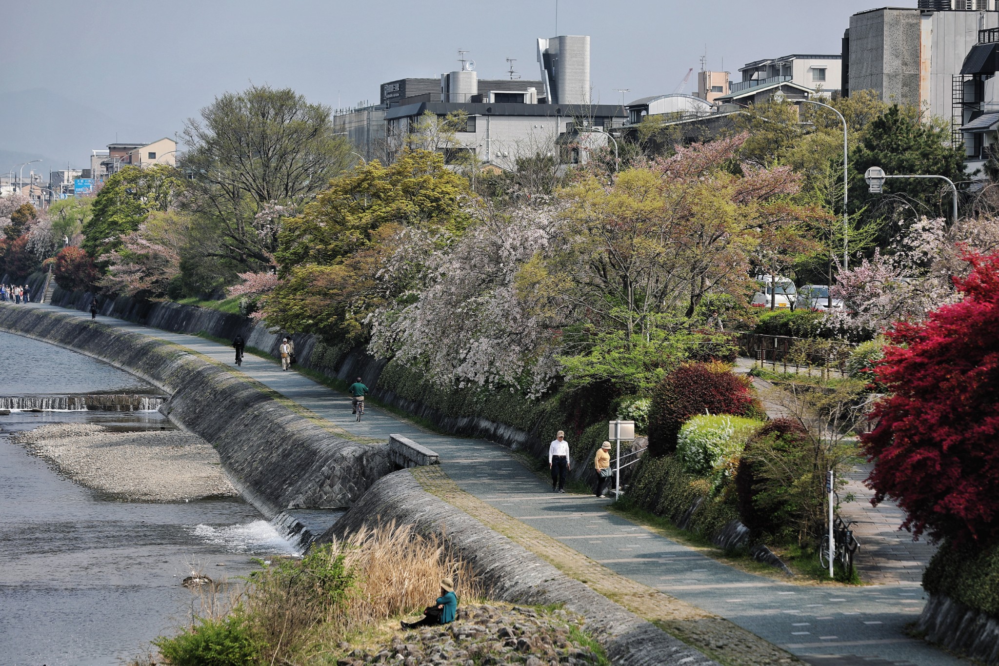 東京自助遊攻略