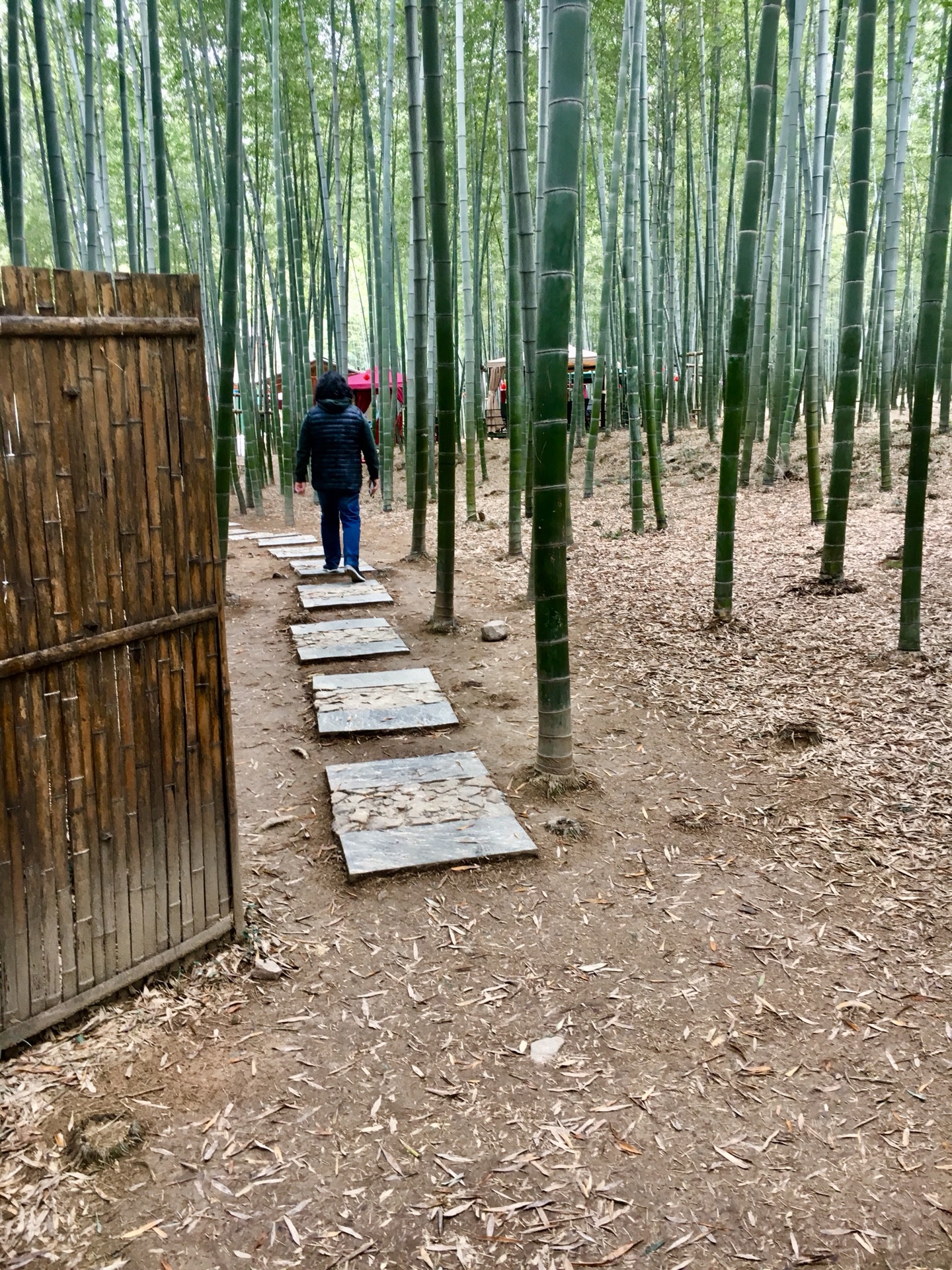 宜興自助遊攻略