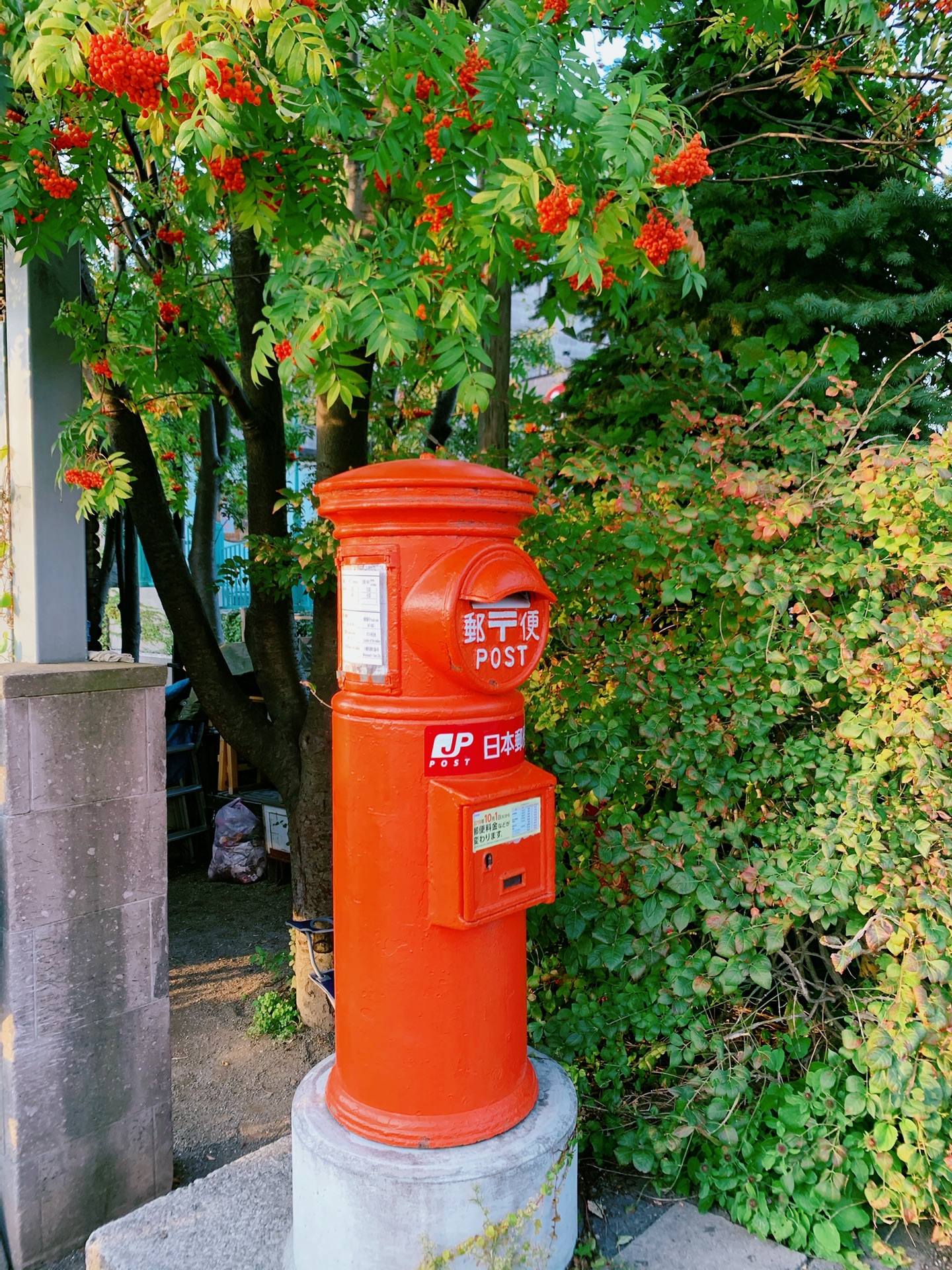 北海道自助遊攻略