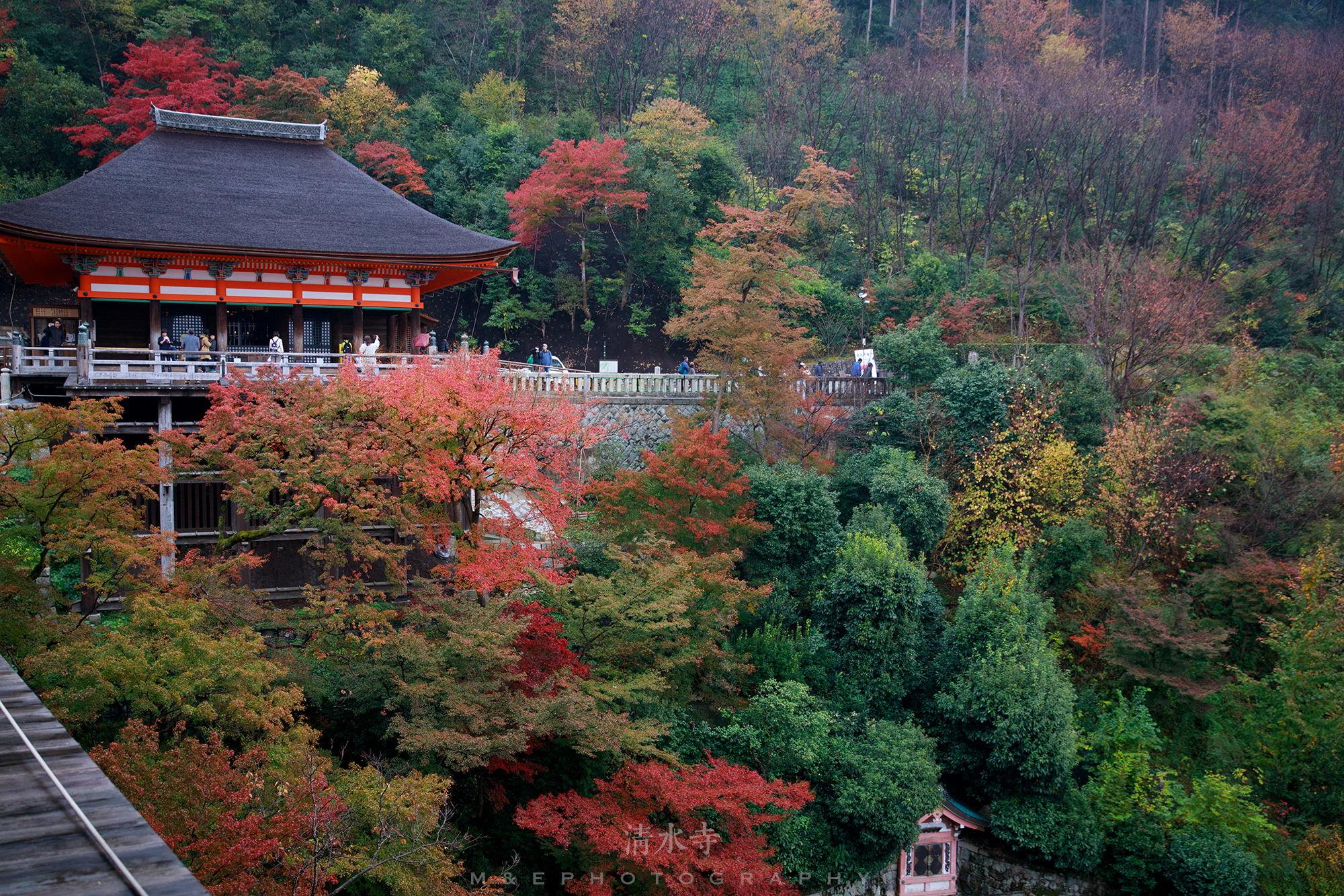 京都自助遊攻略