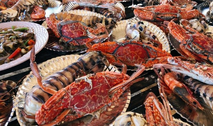 震撼鲸鲨 超猛沙丁鱼风暴,端午三天玩翻菲律宾!