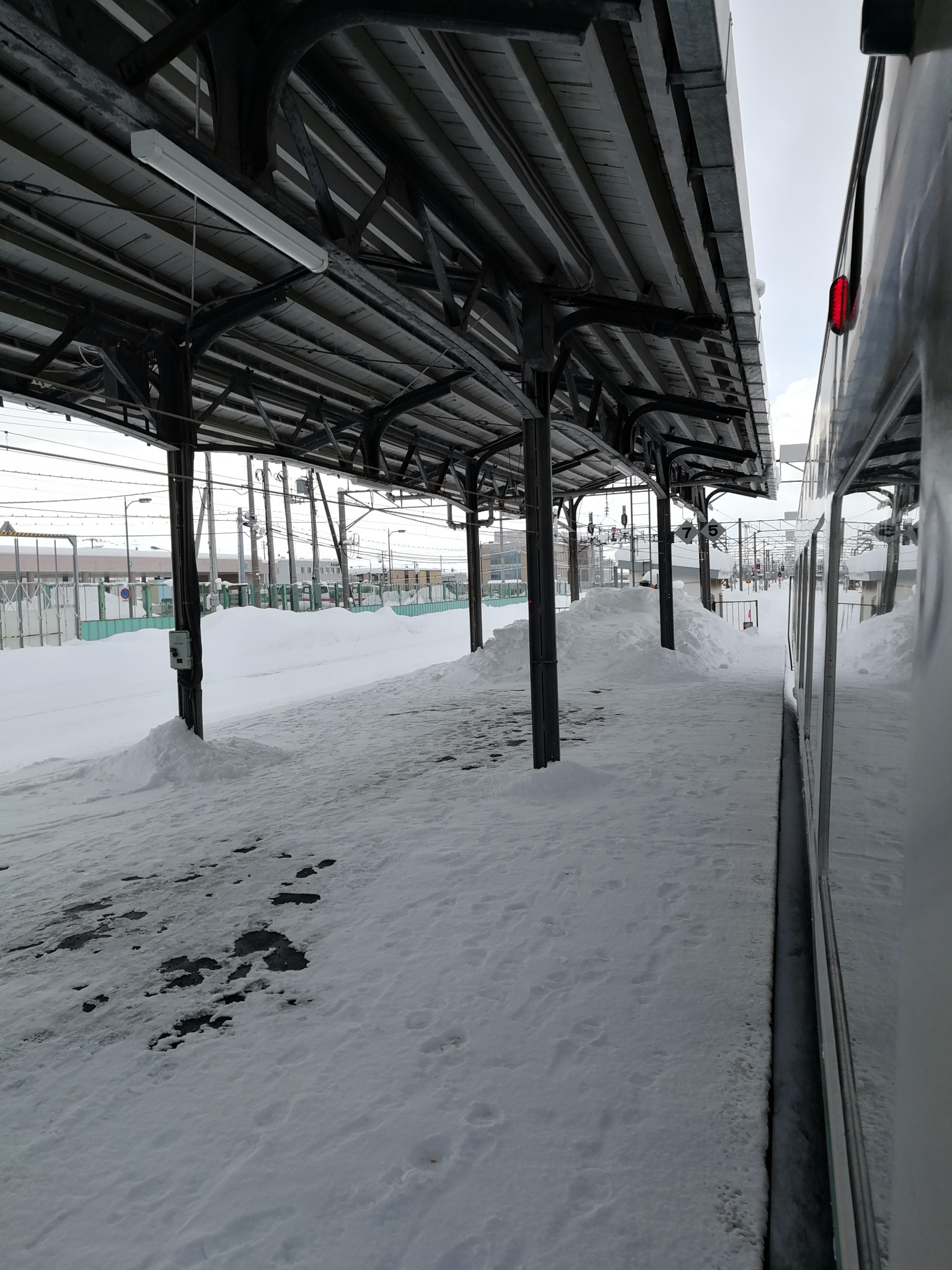 北海道自助遊攻略