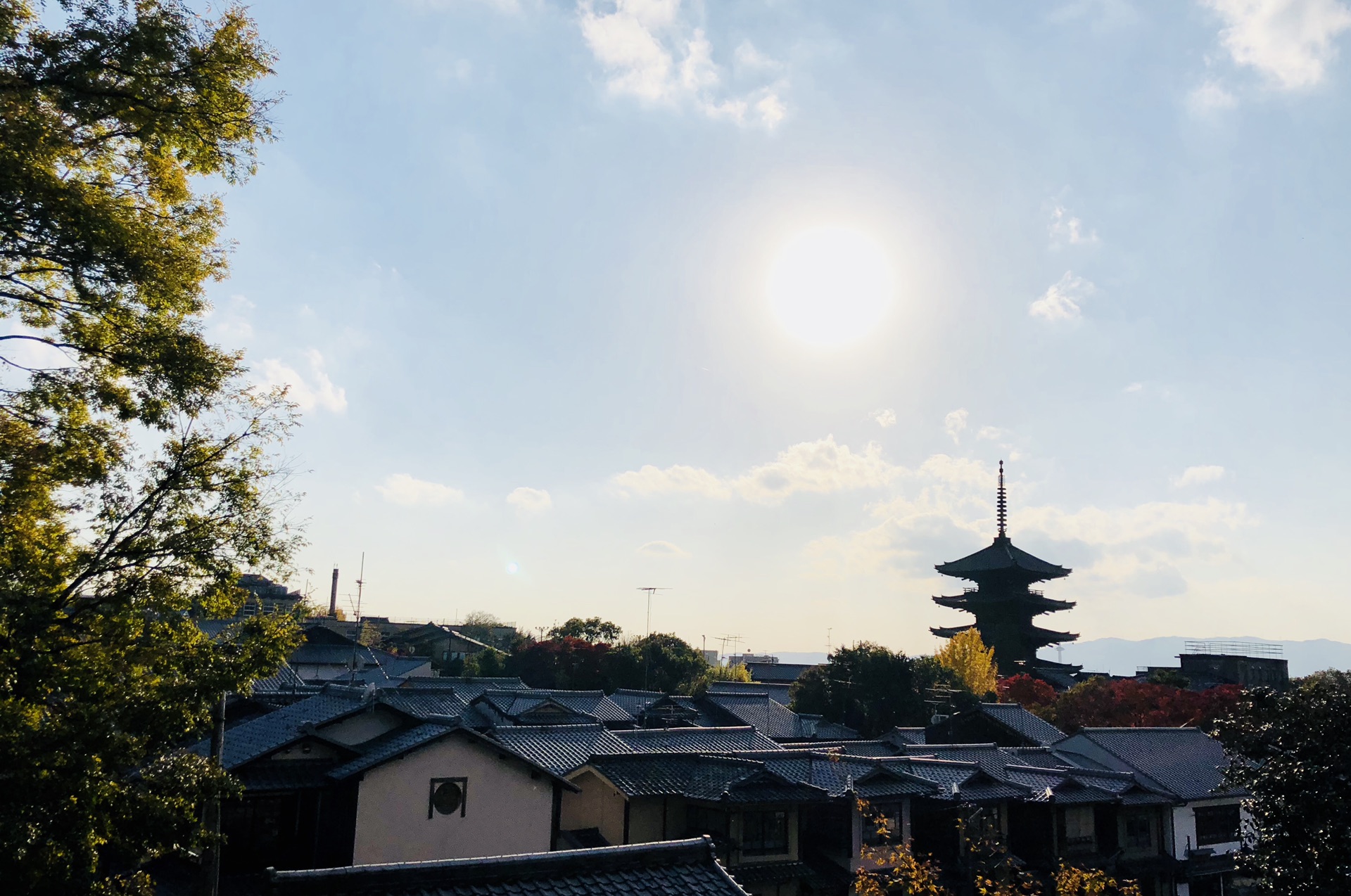 京都自助遊攻略