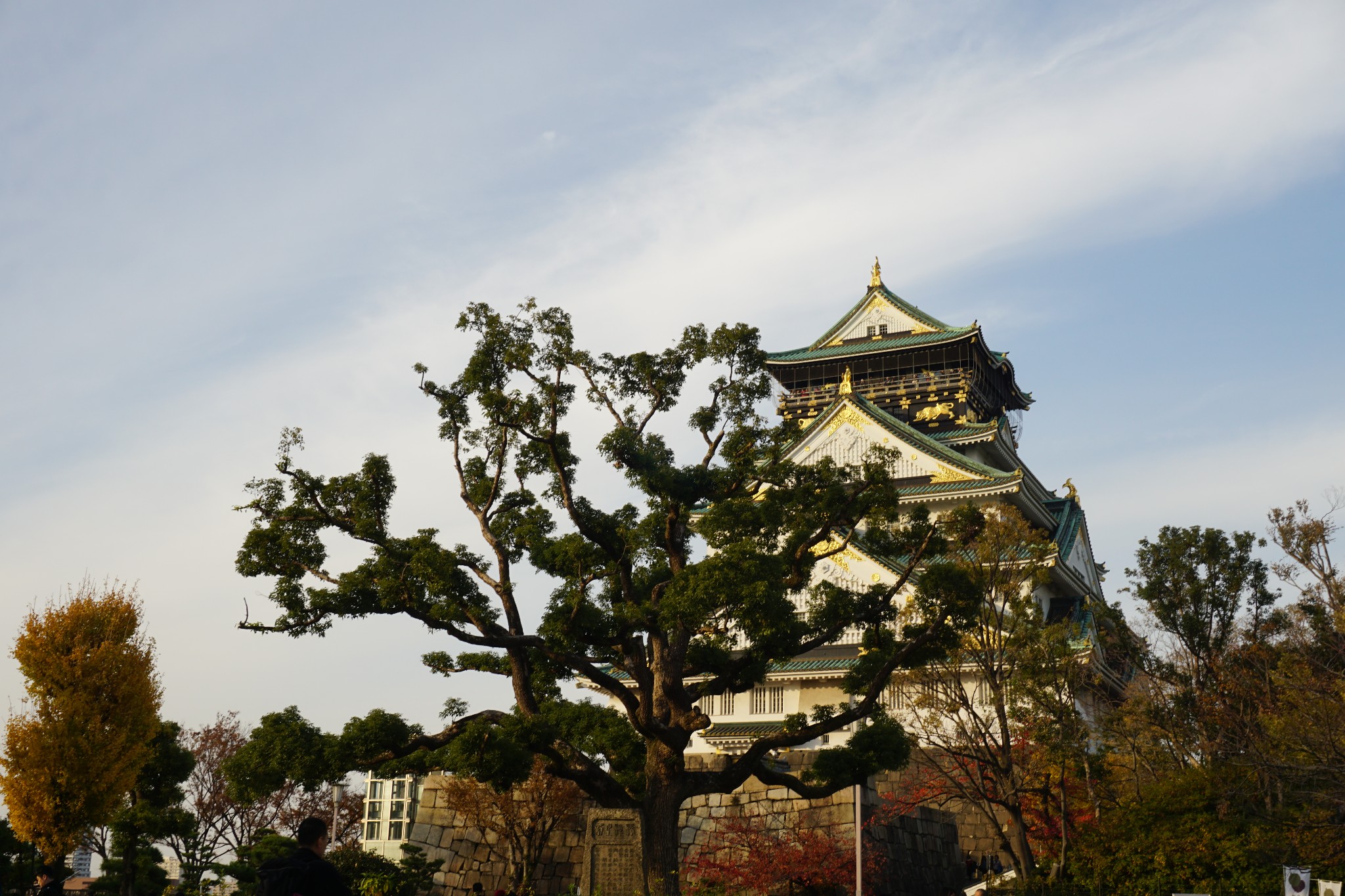 京都自助遊攻略