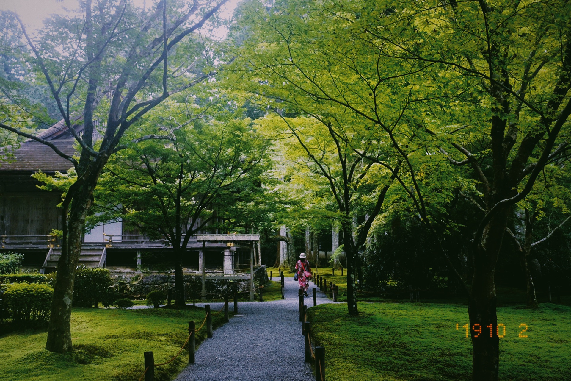 京都自助遊攻略