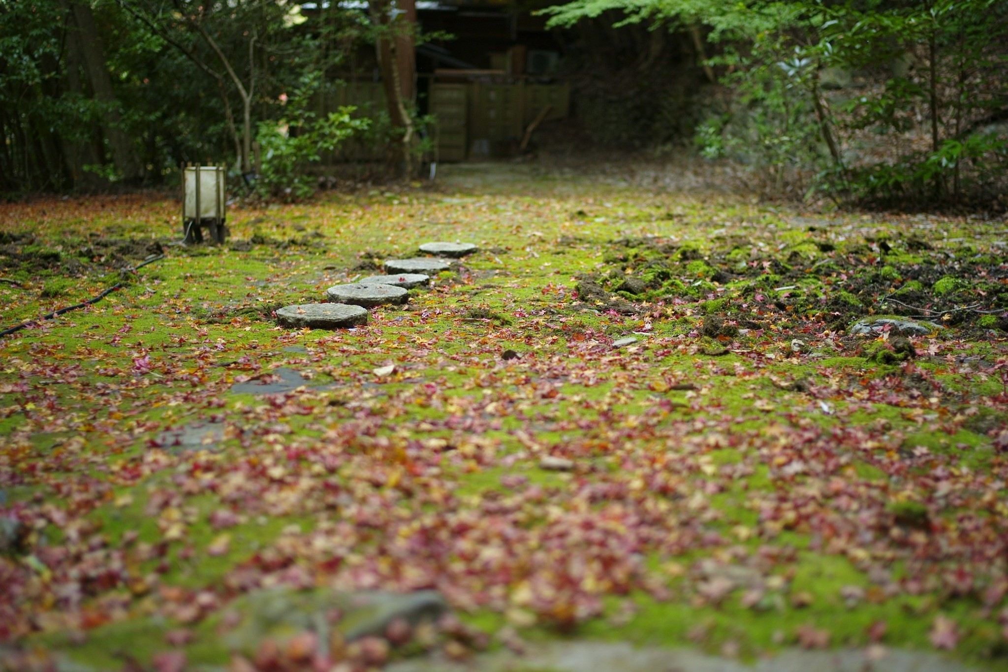 京都自助遊攻略