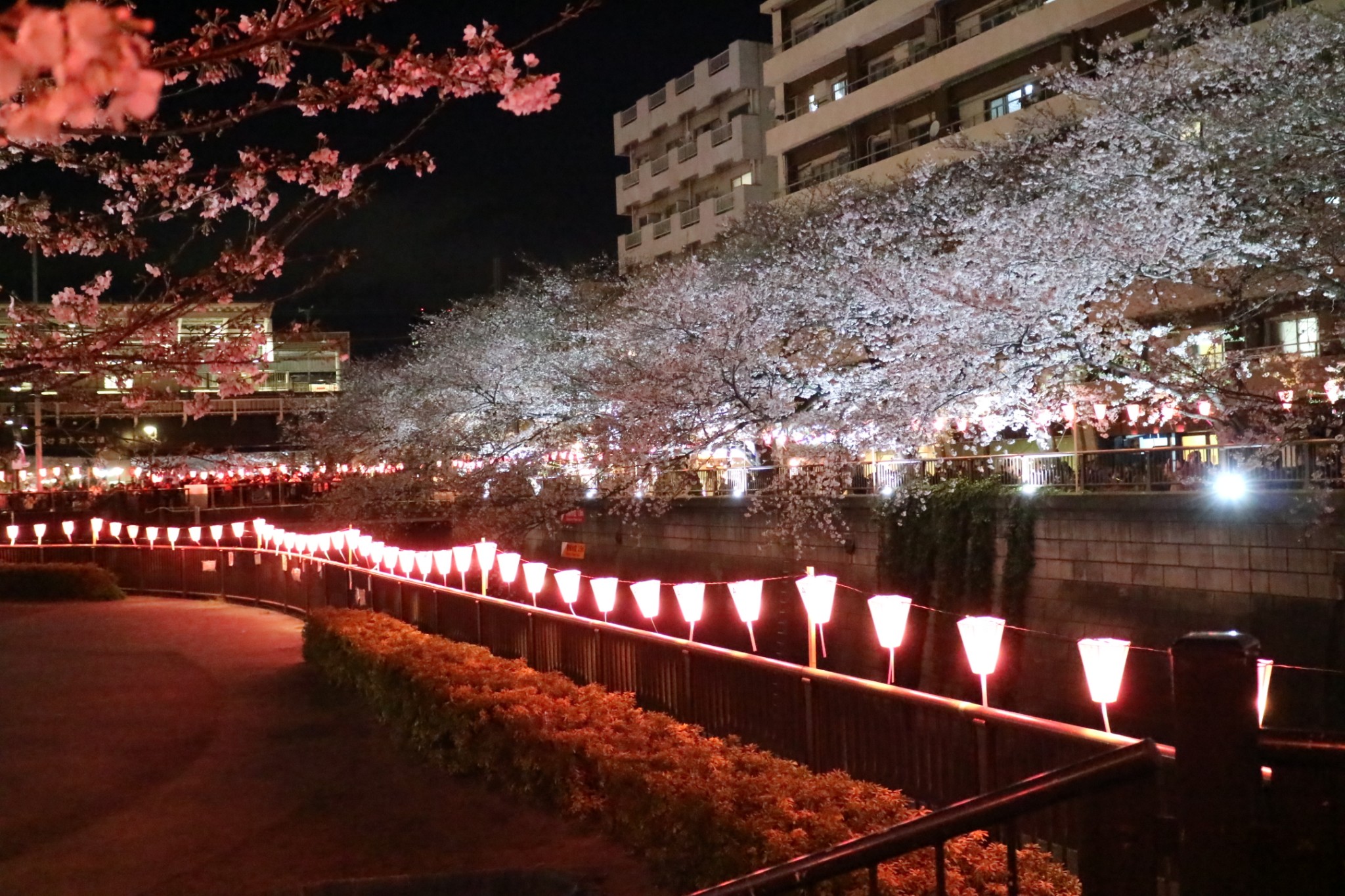 東京自助遊攻略