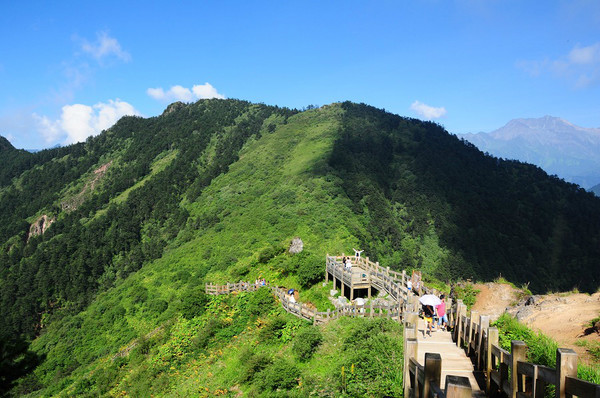 西岭雪山-***