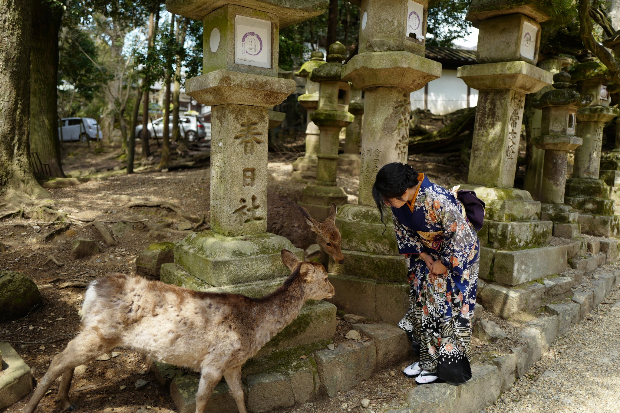 京都自助遊攻略