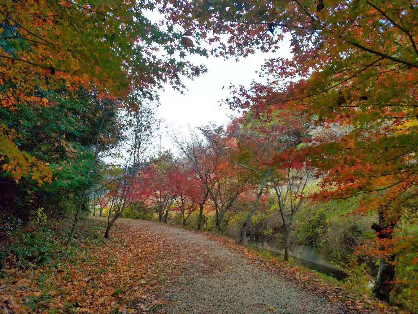 名古屋自助遊攻略