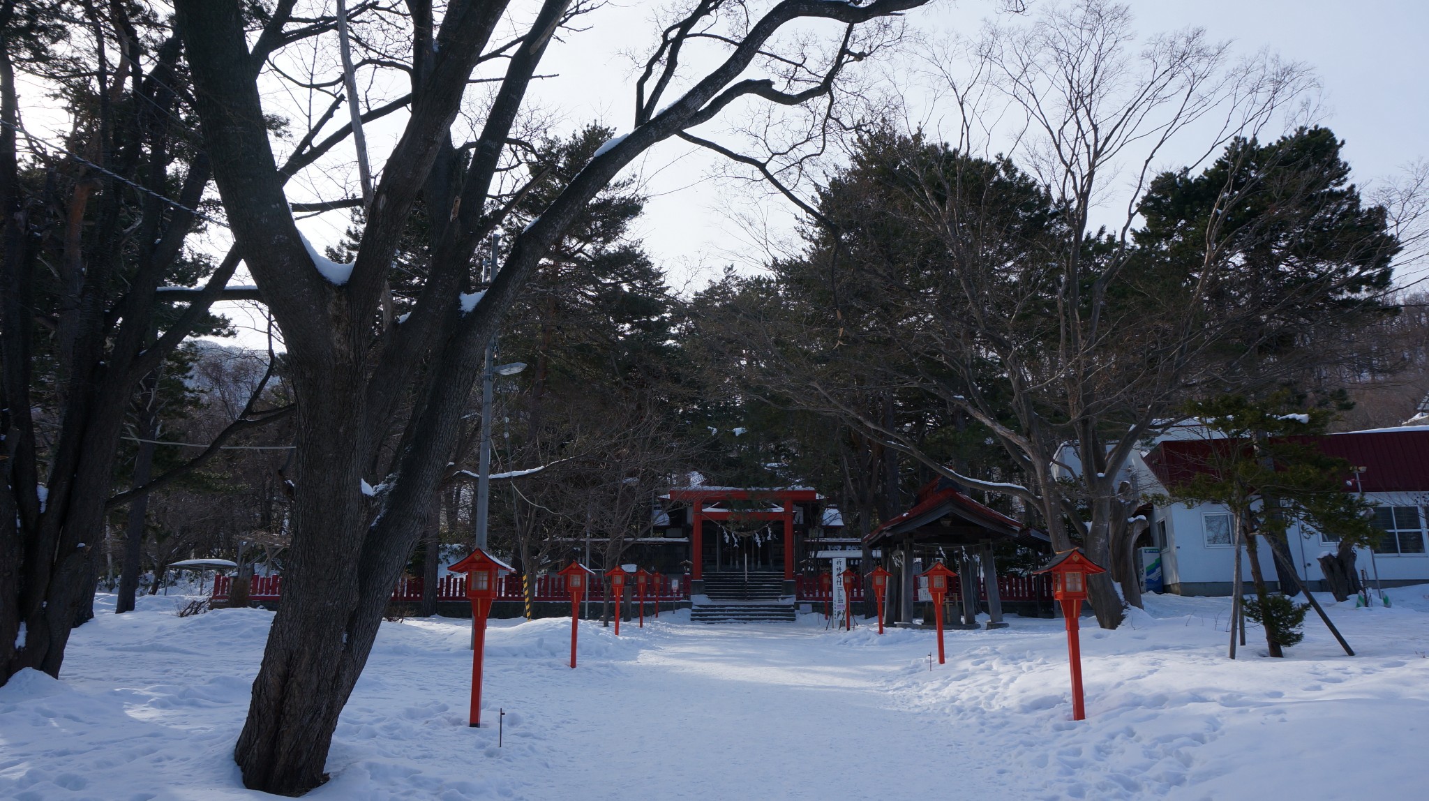 北海道自助遊攻略