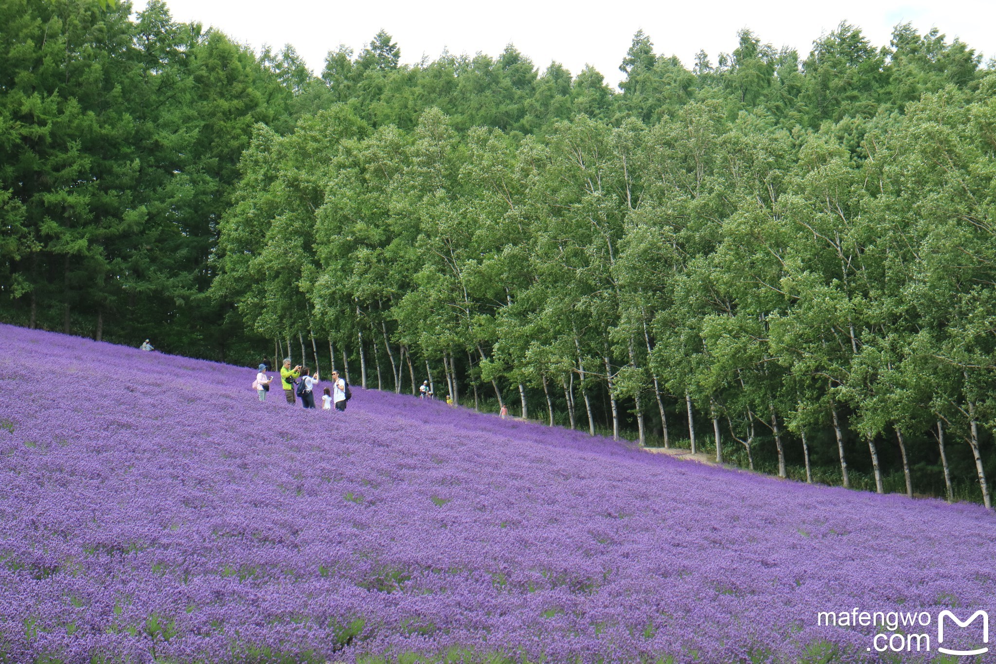 北海道自助遊攻略