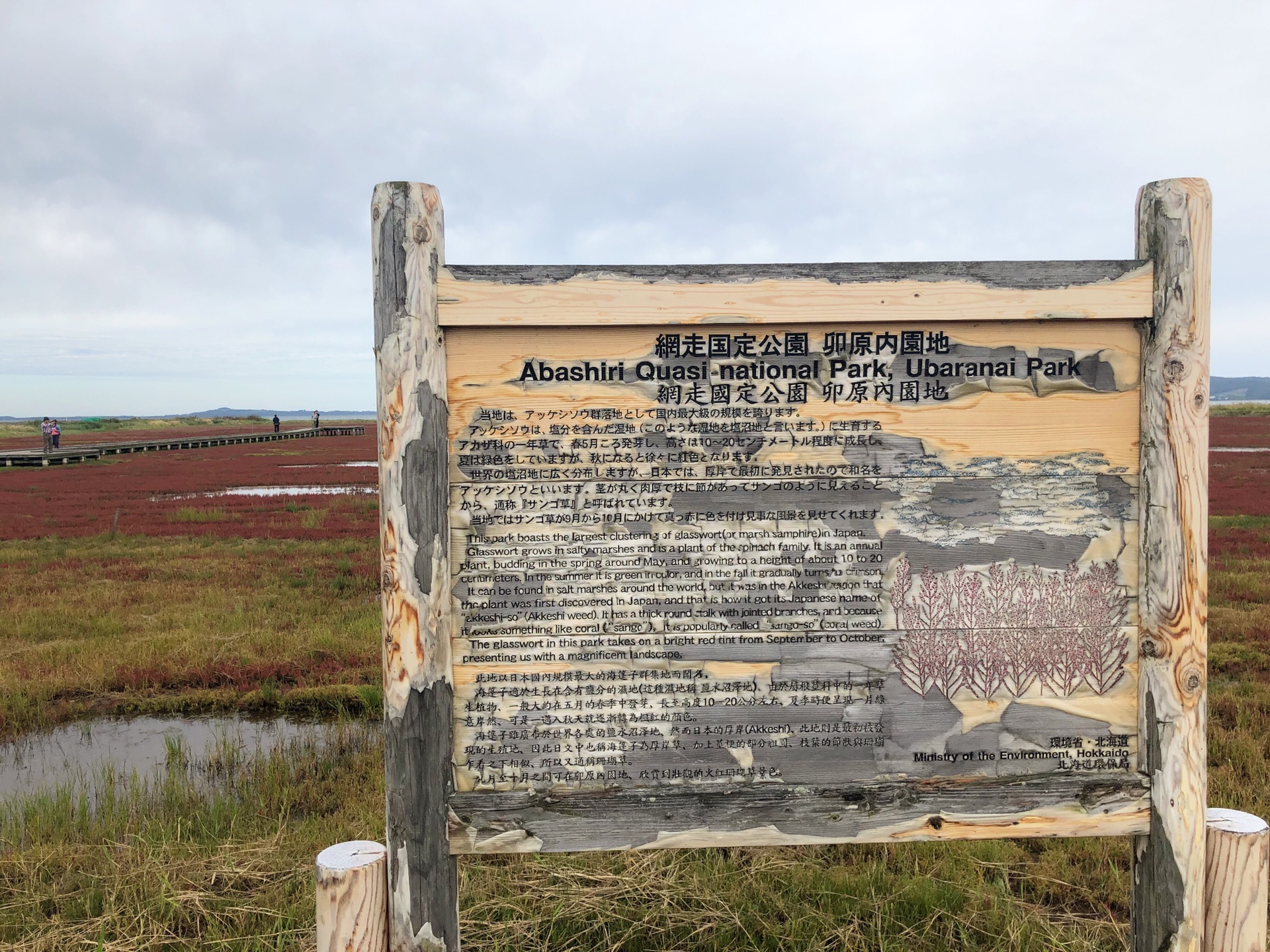 北海道自助遊攻略