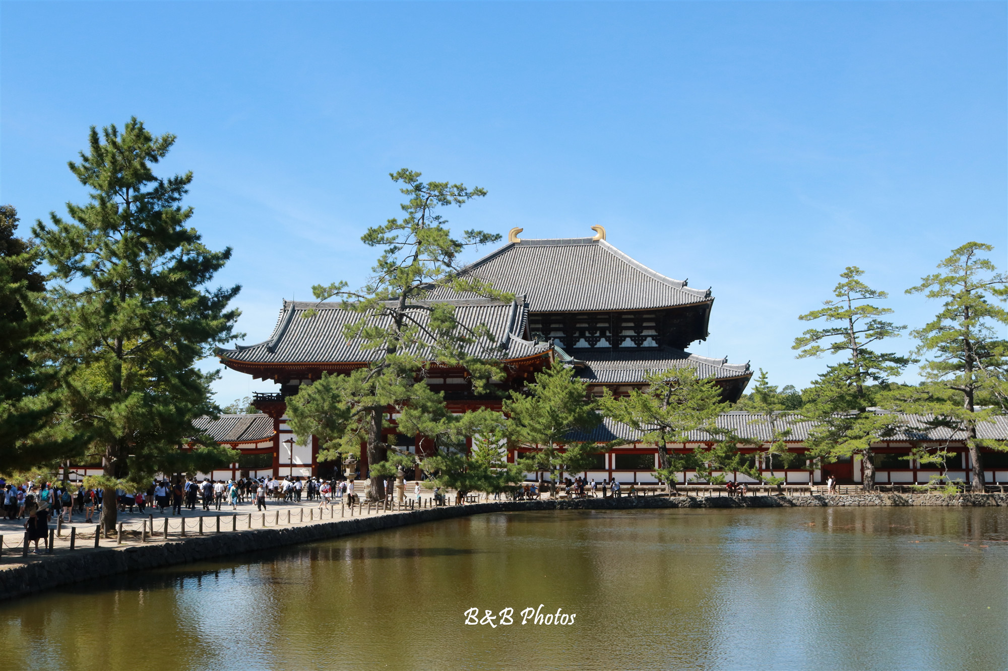 京都自助遊攻略