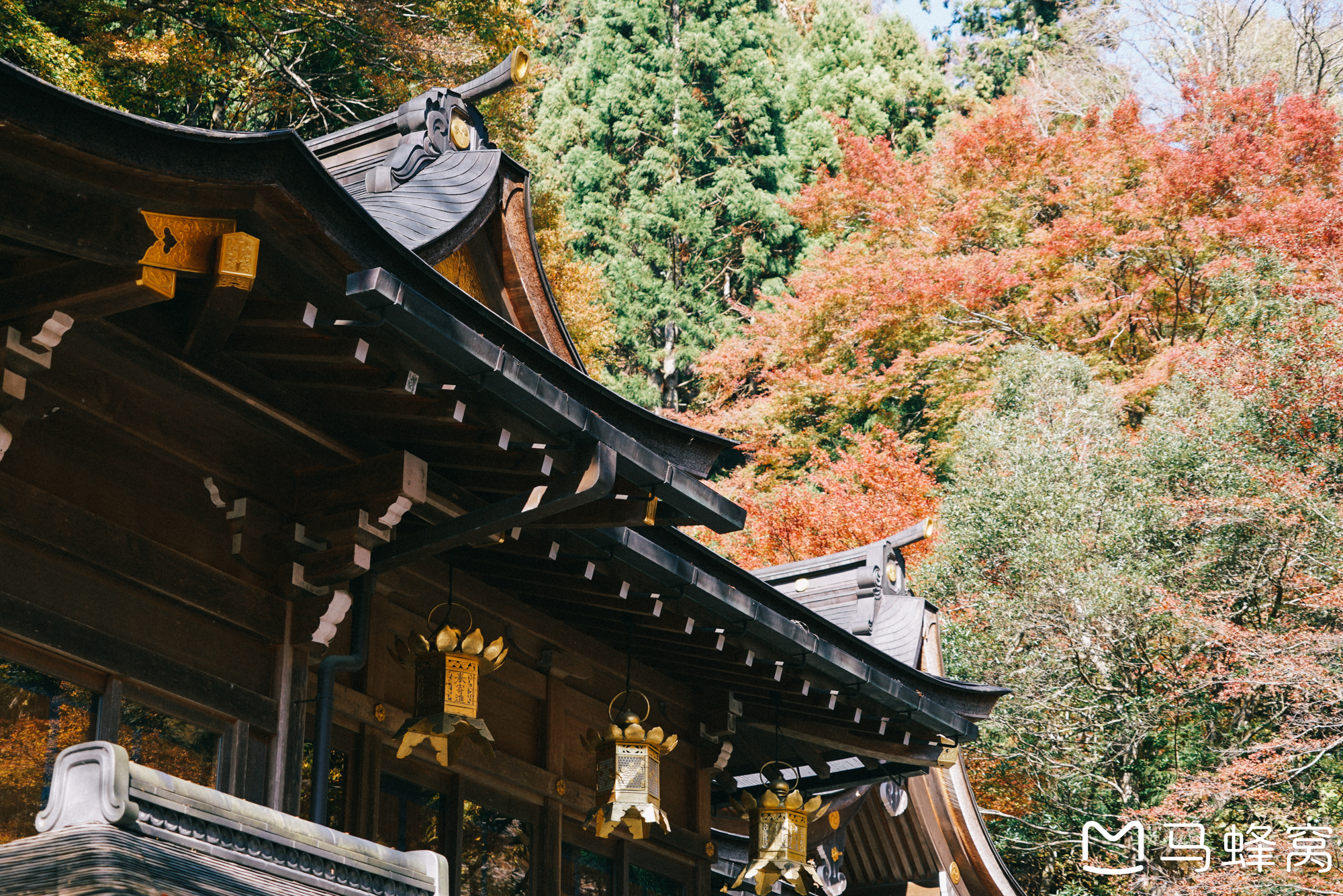 京都自助遊攻略