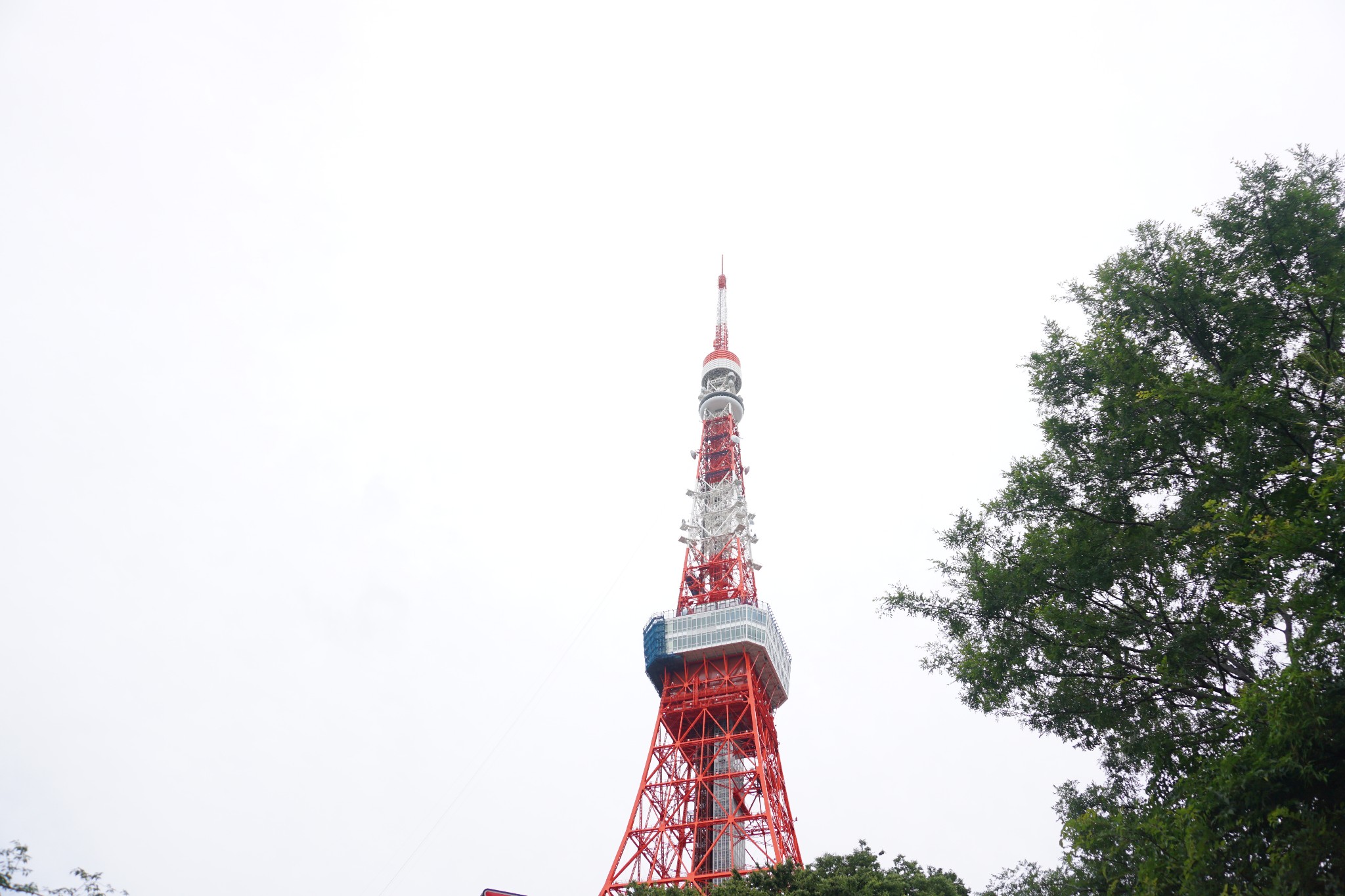 東京自助遊攻略