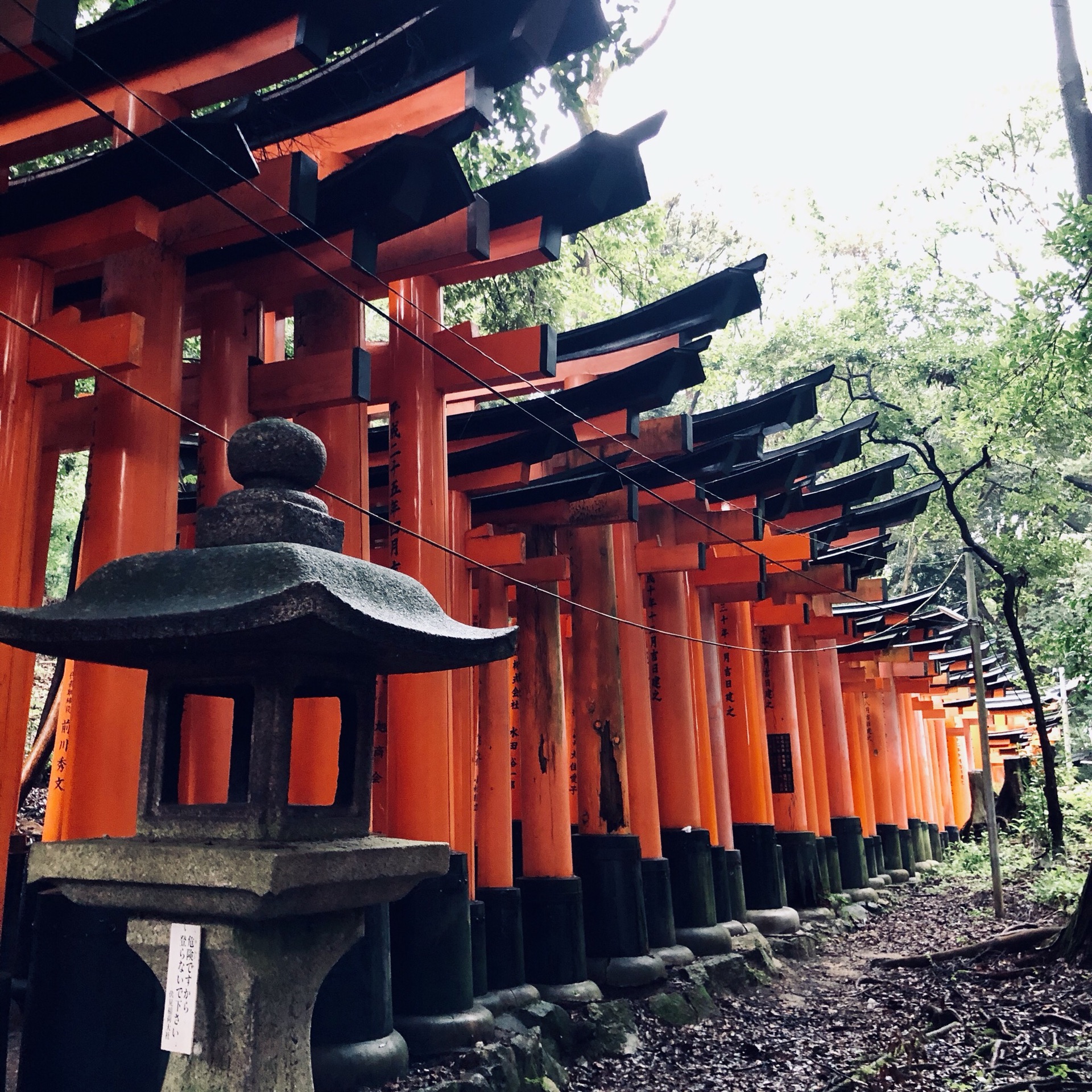 京都自助遊攻略