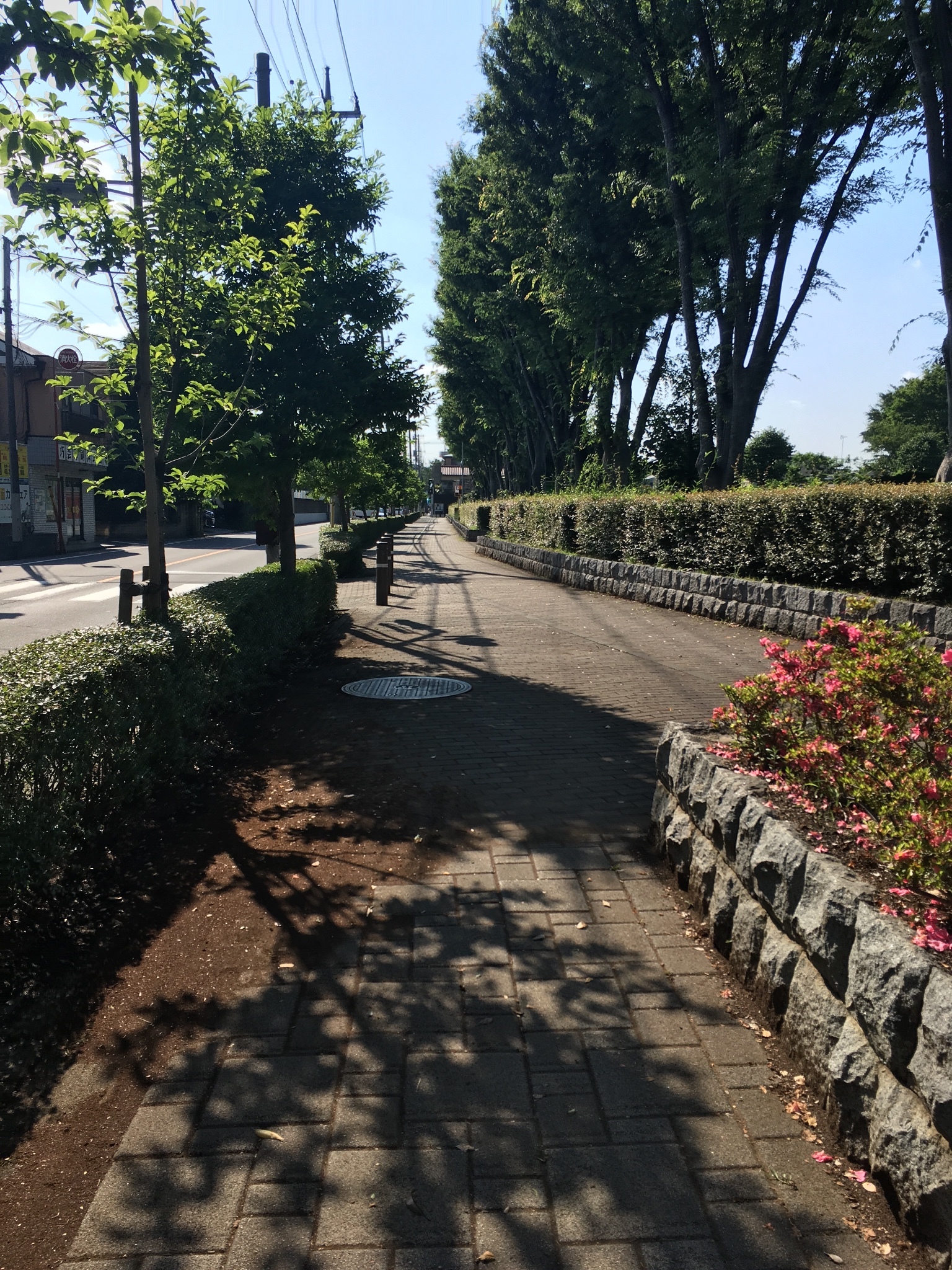 東京自助遊攻略