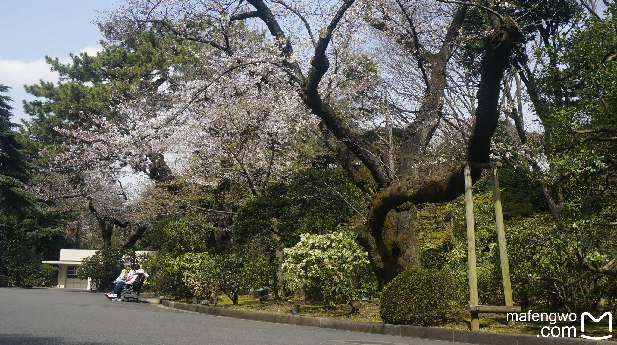 東京自助遊攻略