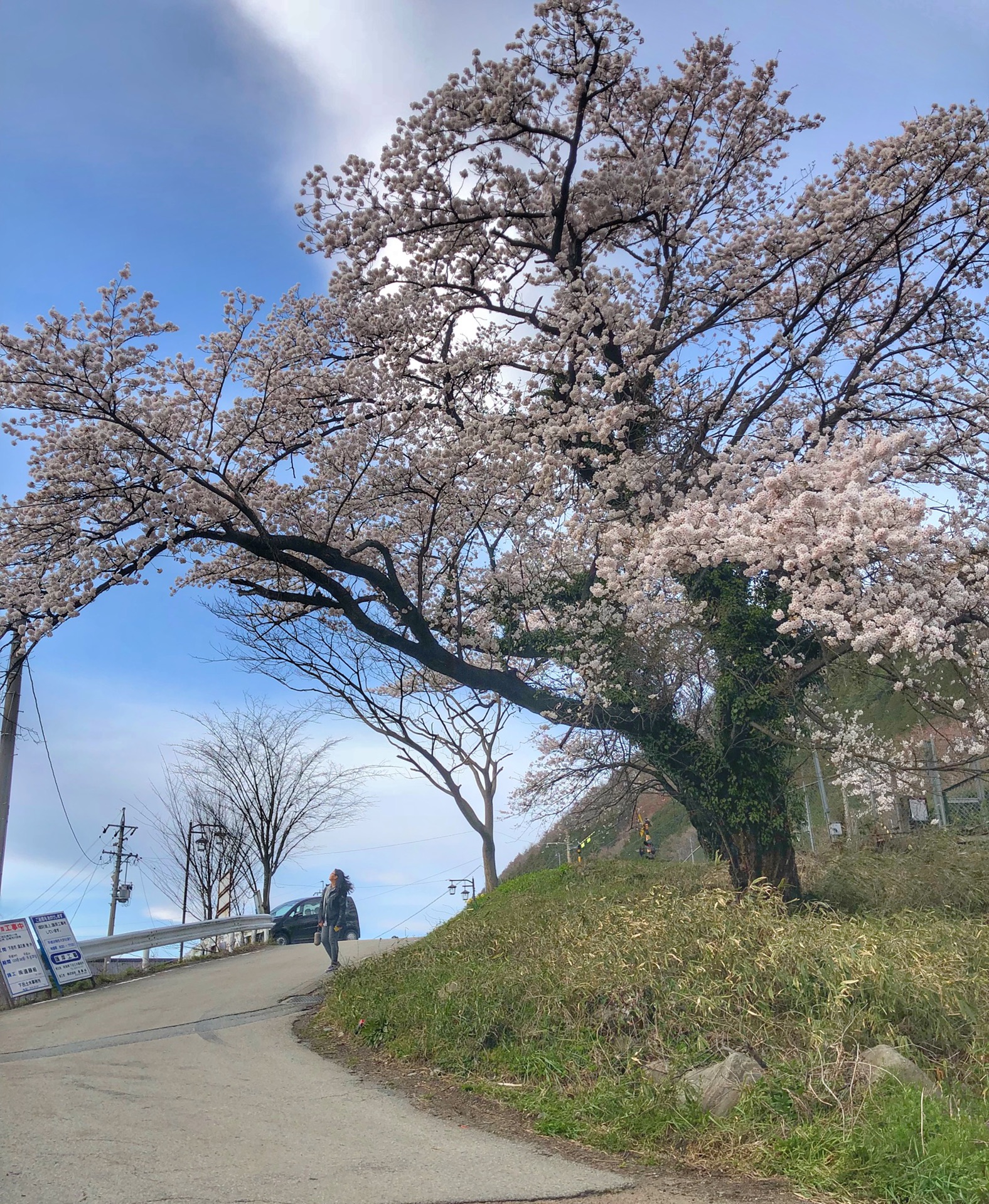 名古屋自助遊攻略