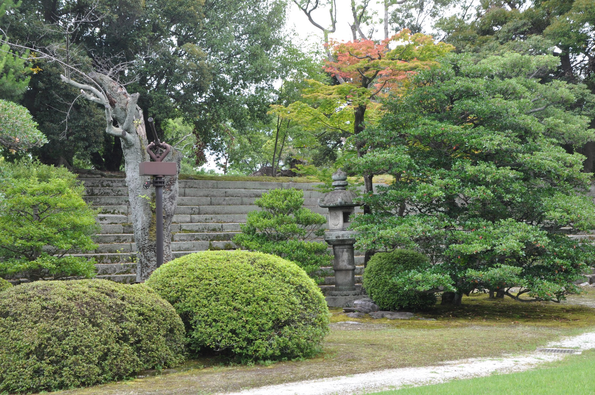 京都自助遊攻略