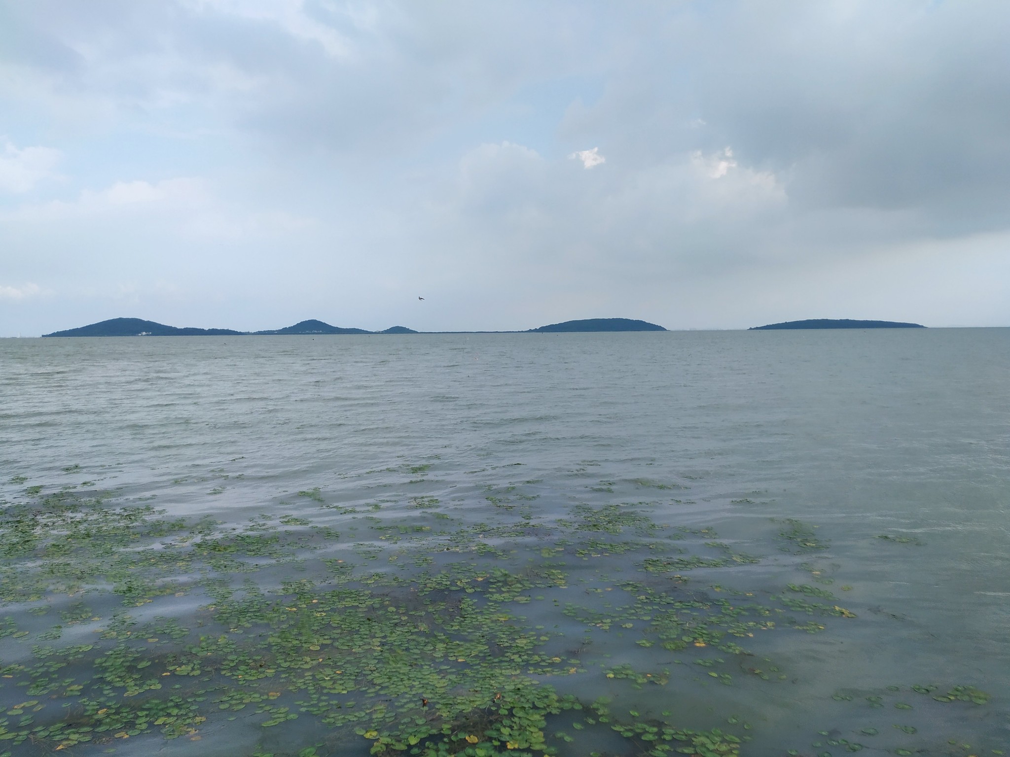 明月湾古村-《都挺好》苏明玉度假地