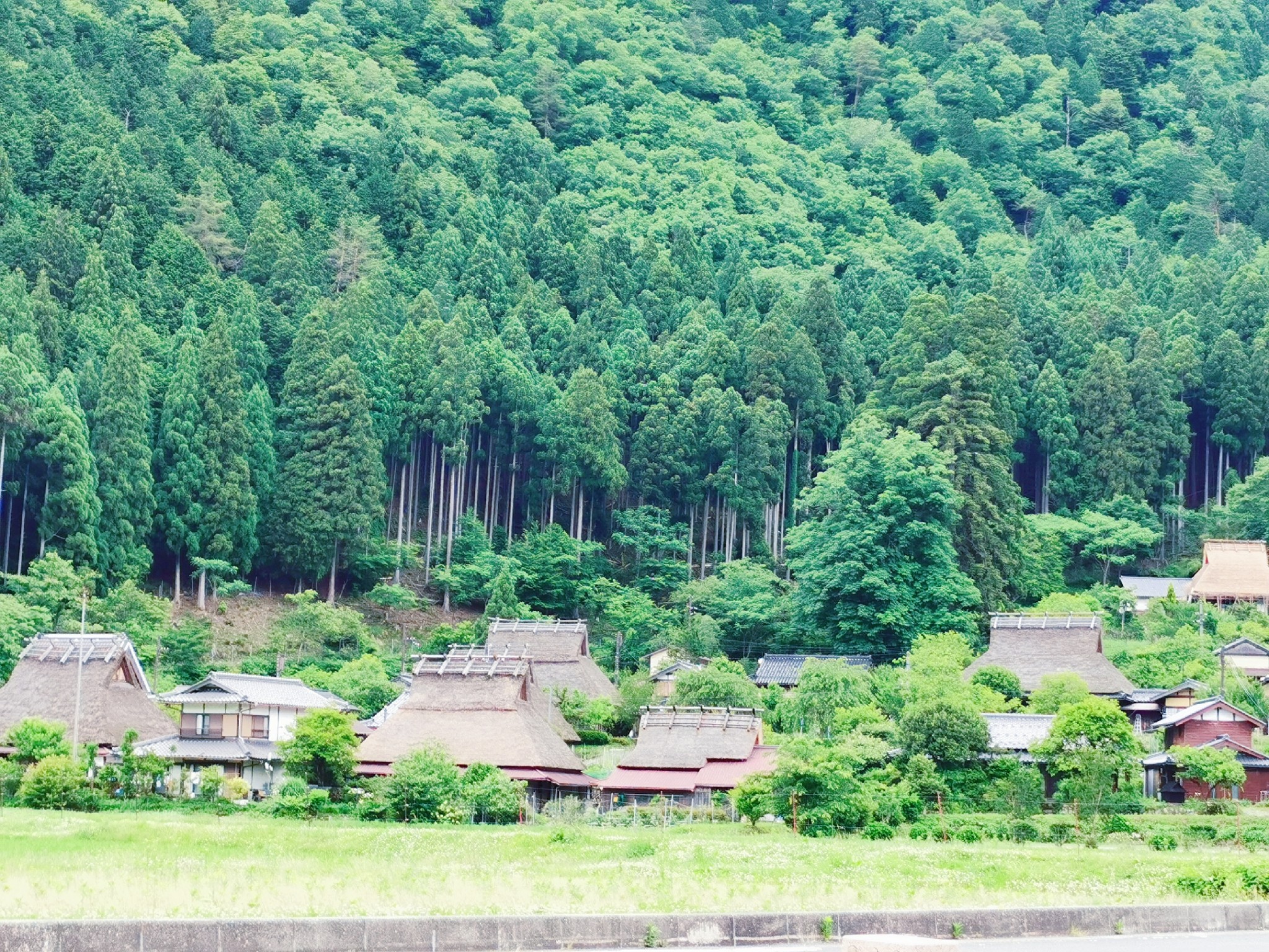 京都自助遊攻略