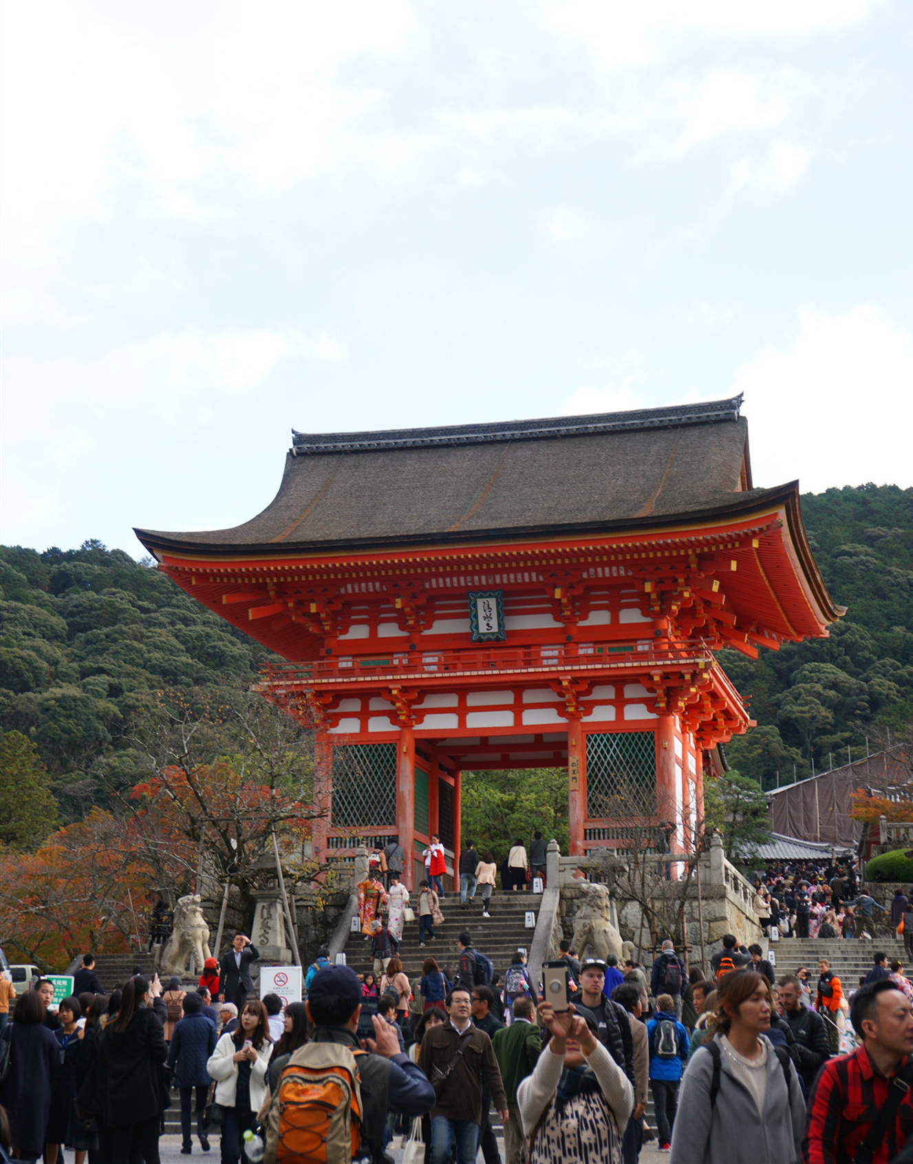 京都自助遊攻略